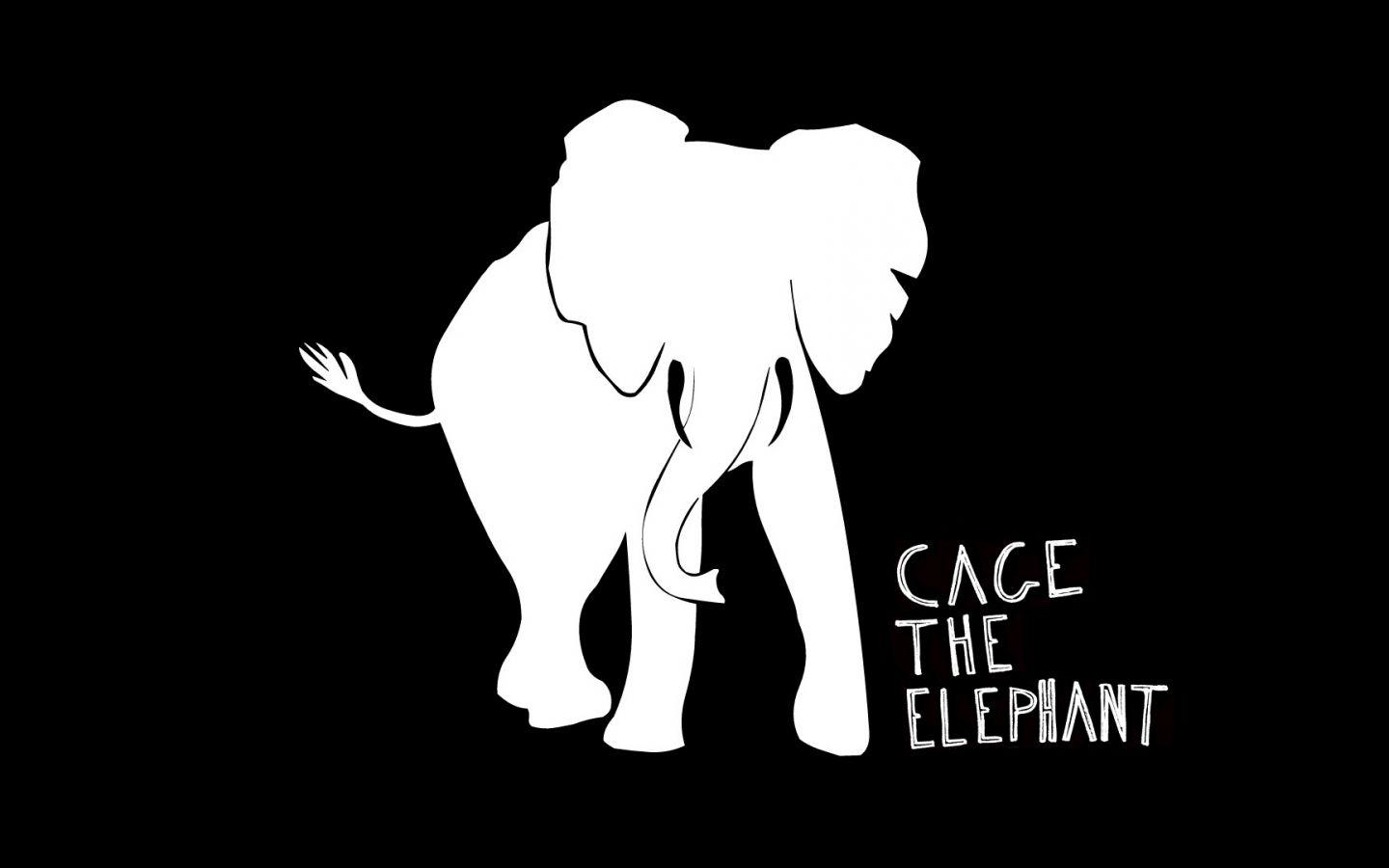 Download Wallpapers, Download 1440x900 cage the elephant 1900x1080
