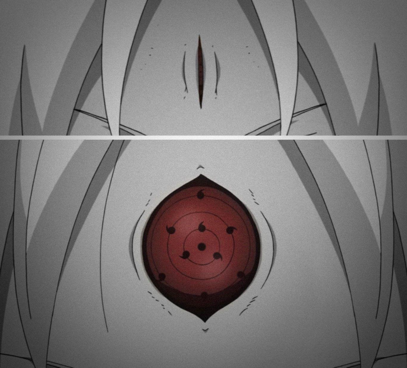 How did Zetsu know about RinneSharingan ??