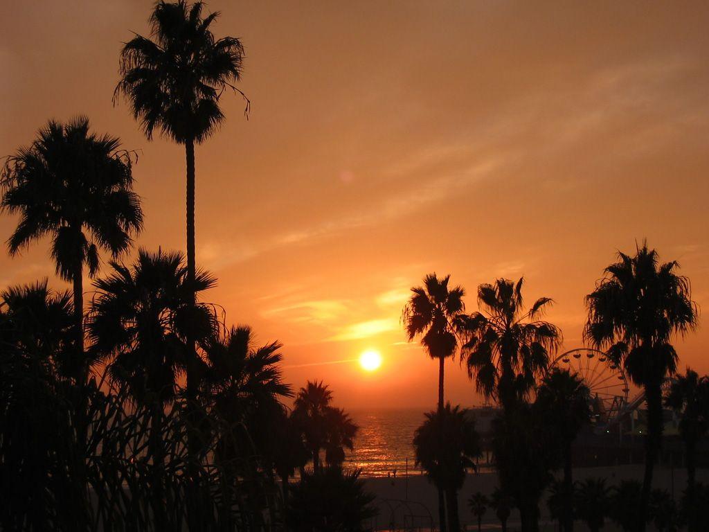 Getting to Your Next Destination from Chelsea Santa Monica