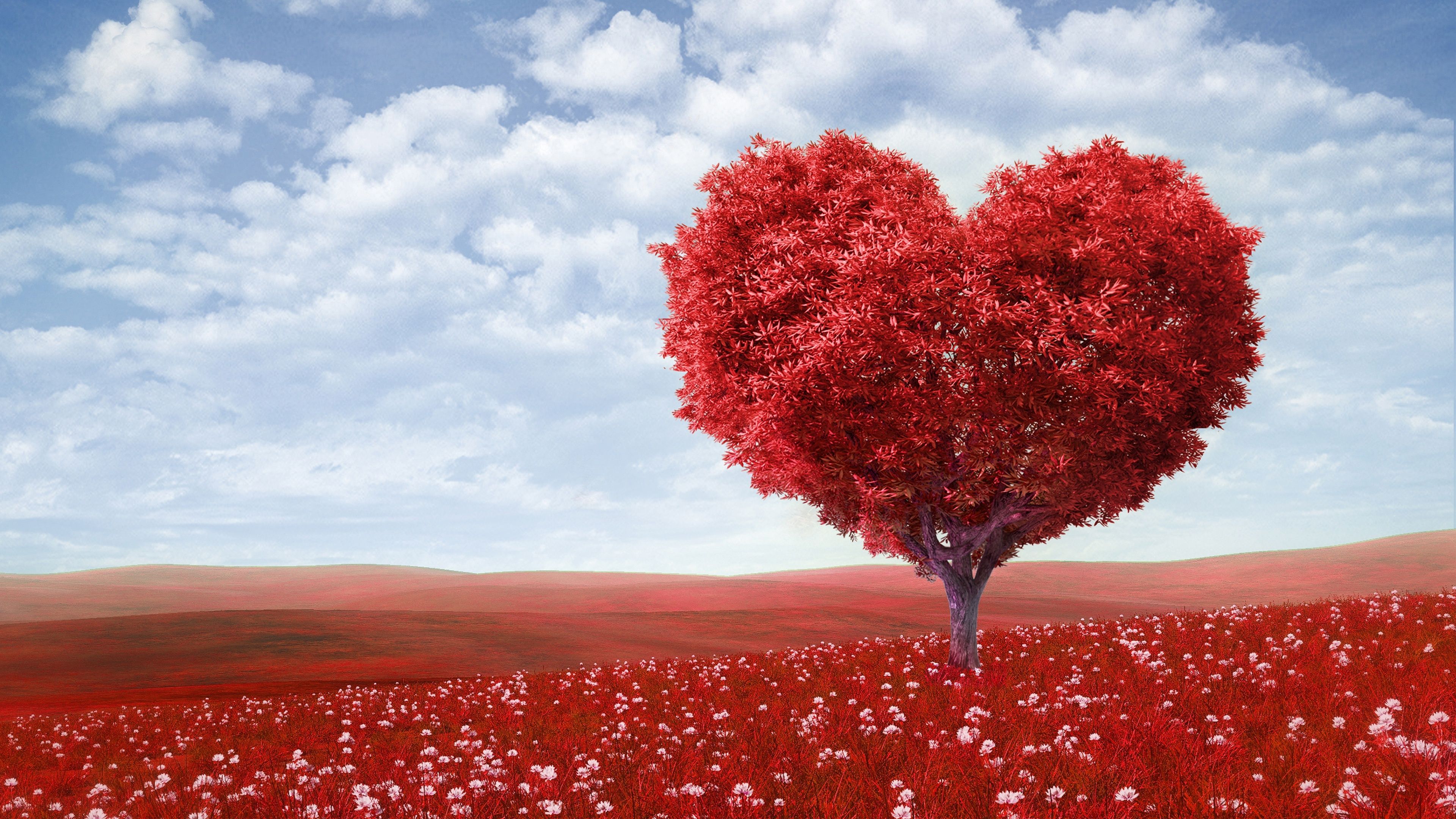 Red Love Heart Tree Wallpaper in jpg format for free download