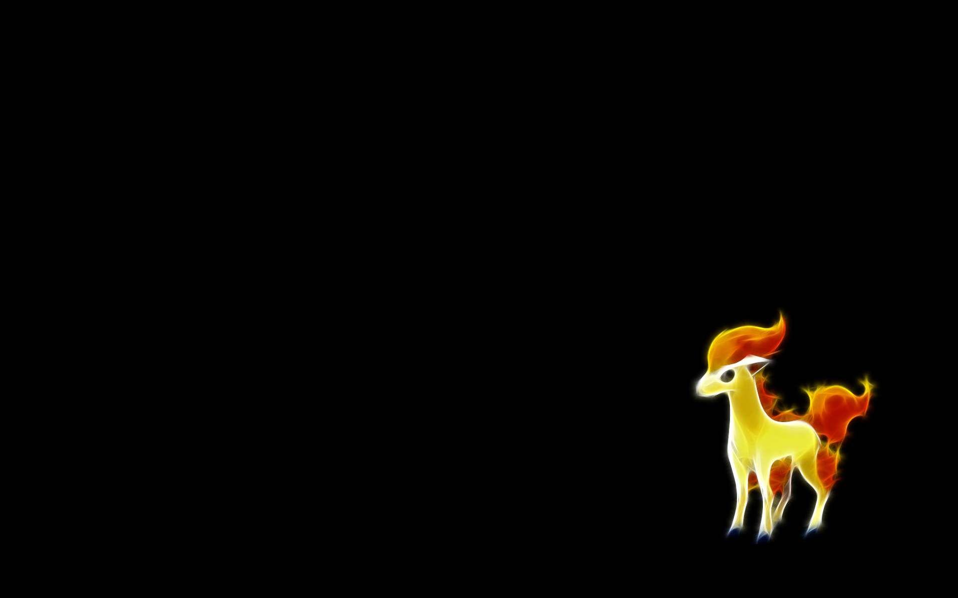 Ponyta Wallpaper 48093 1920x1200 px