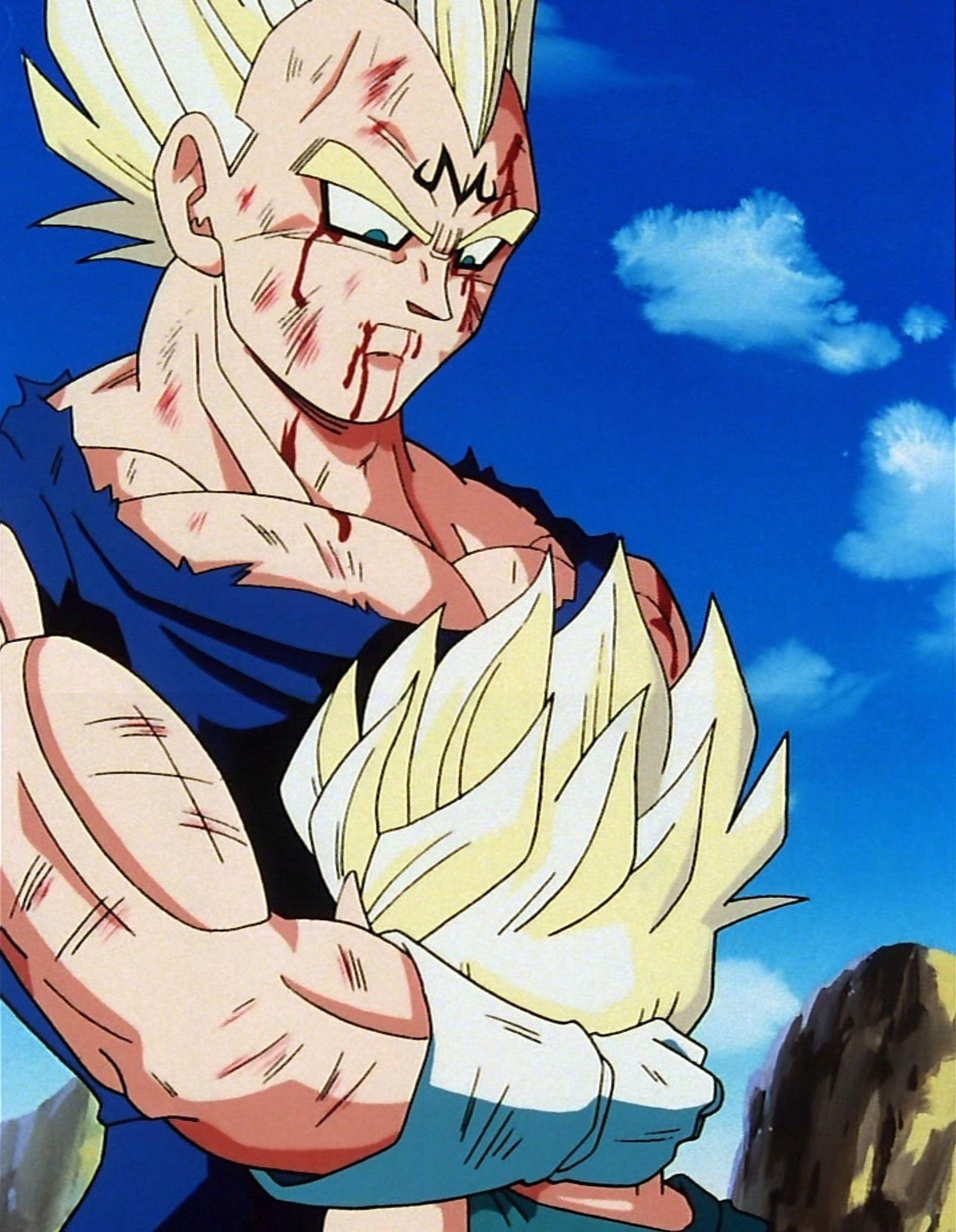 Dragon Ball Z Vegeta Wallpaper