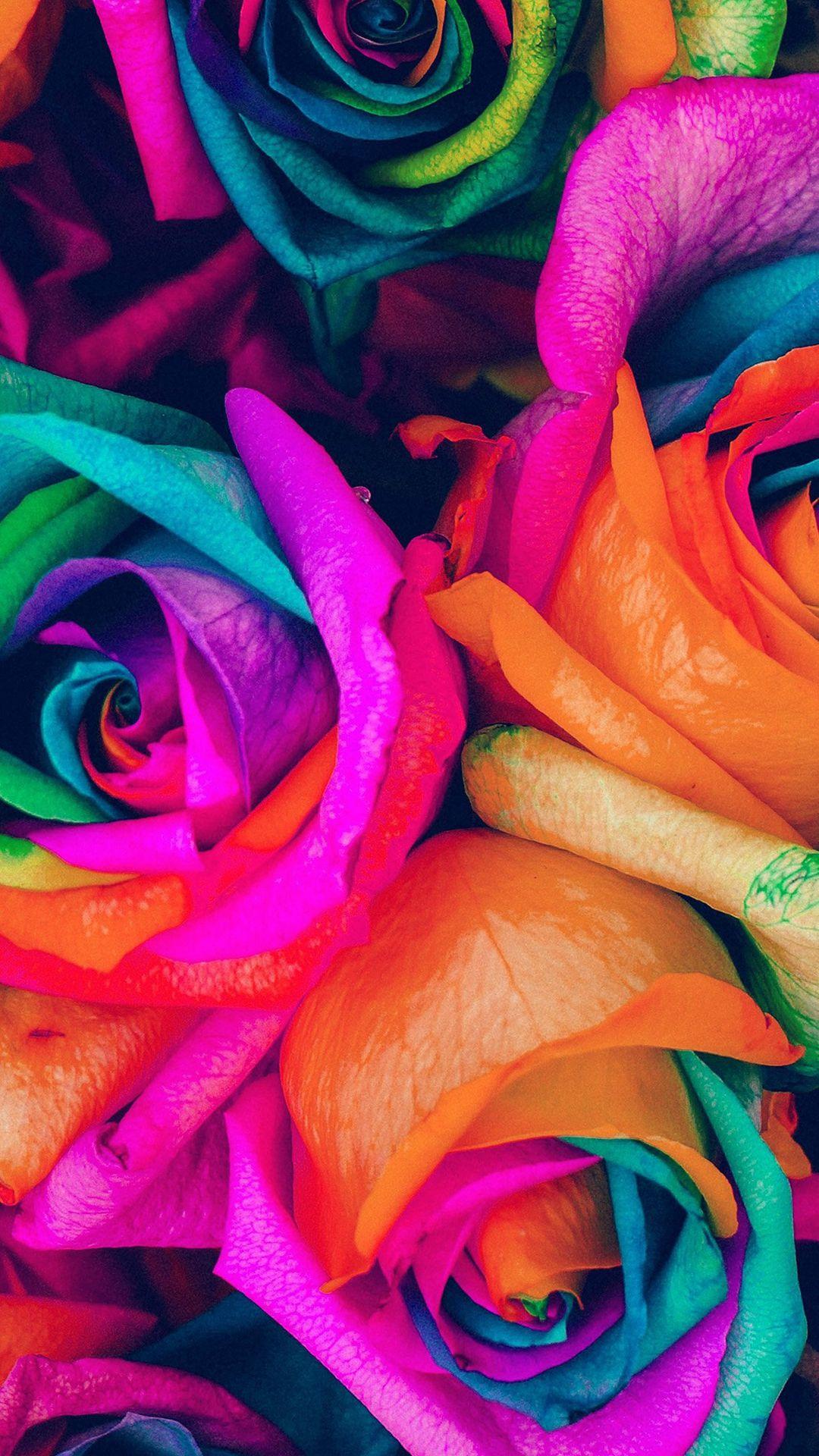Flower Rose Color Blue Rainbow Art Nature #iPhone #wallpaper