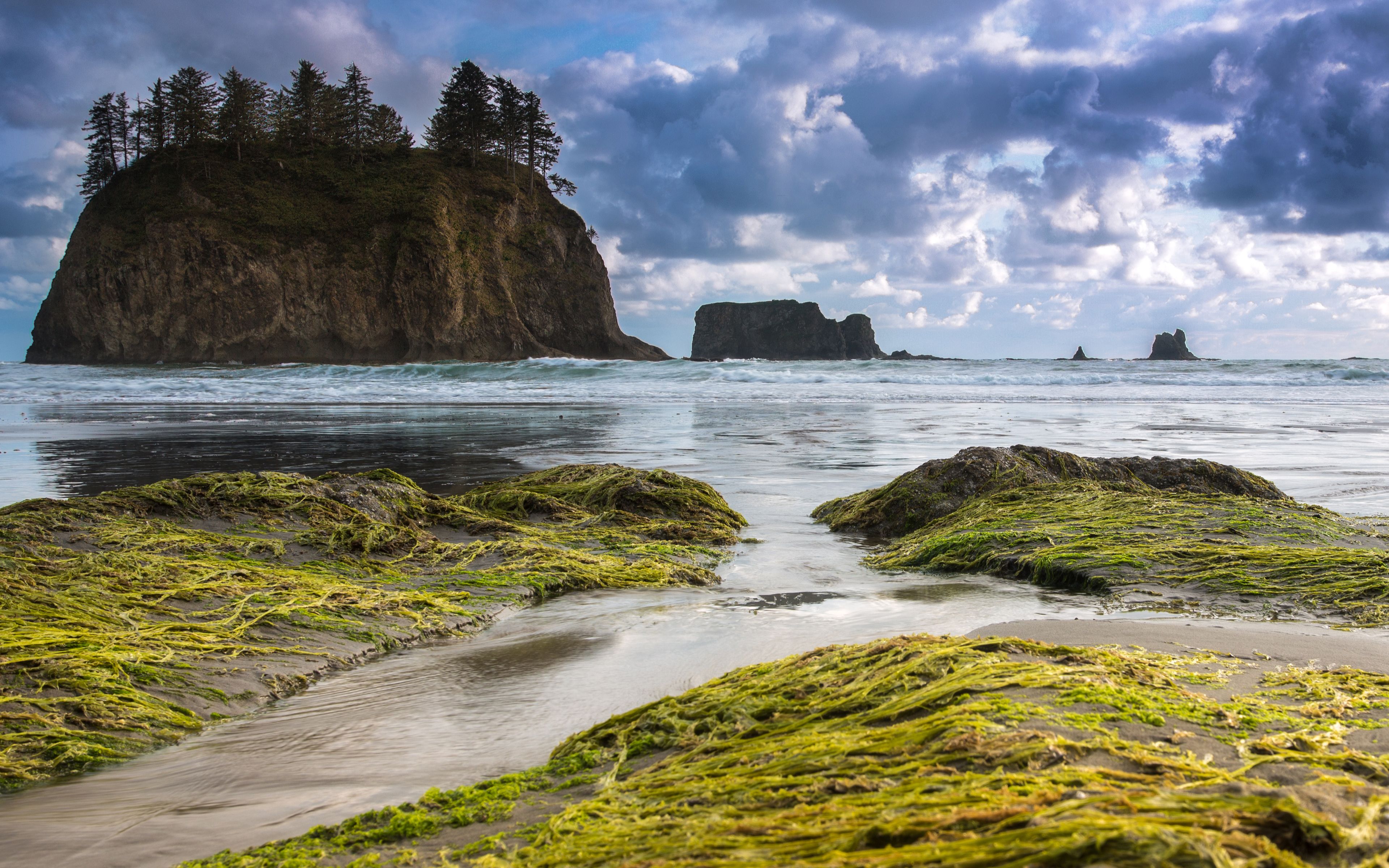 Olympic National Park Wallpapers Wallpaper Cave Olympic National Park Wallpapers Wallpaper Cave