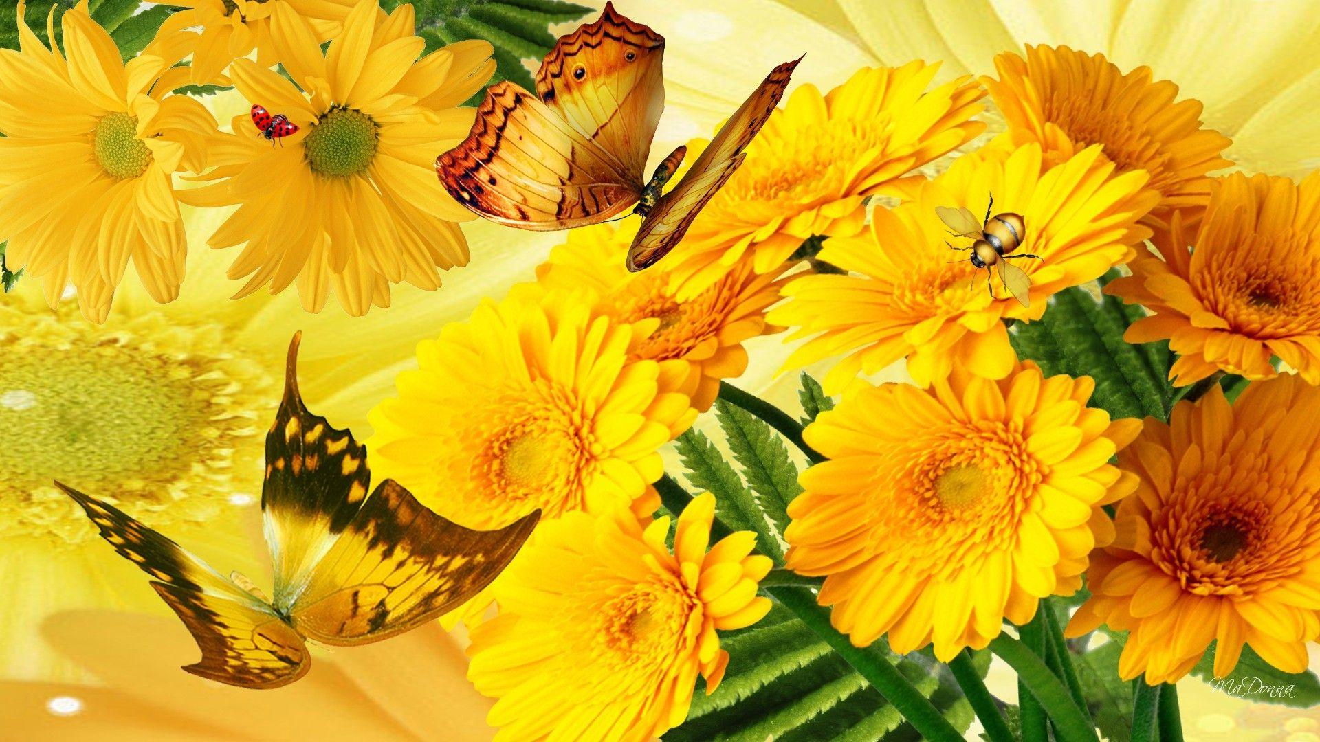 Astor Tag wallpaper: Golden Glory Flowers Lady Bug Summer Gold