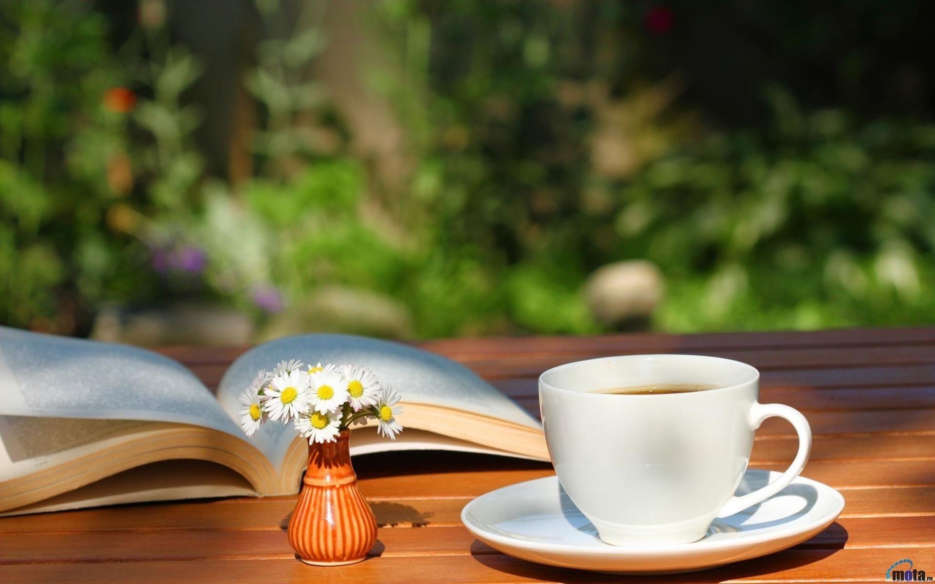 tea and a book in the garden desktop background tea and a book
