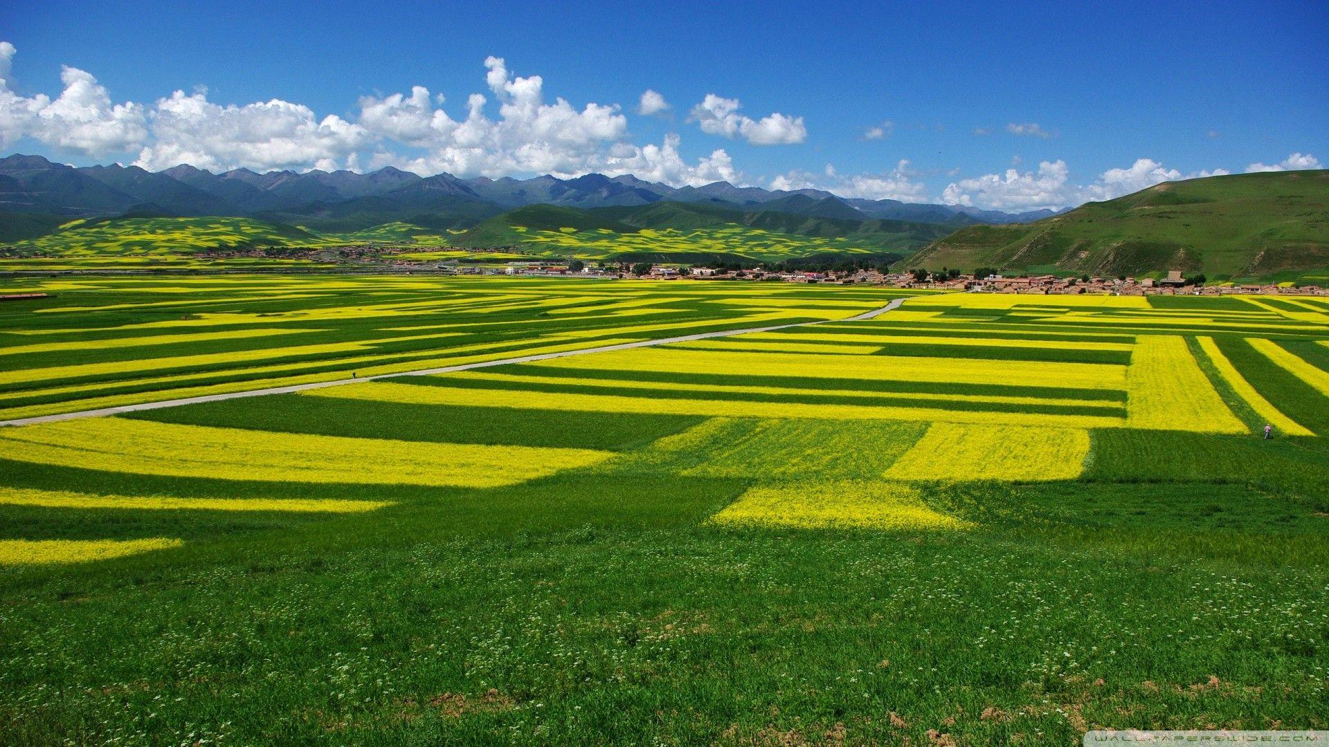 Great Tag wallpaper: Great Serpentine Mountain Road Forest