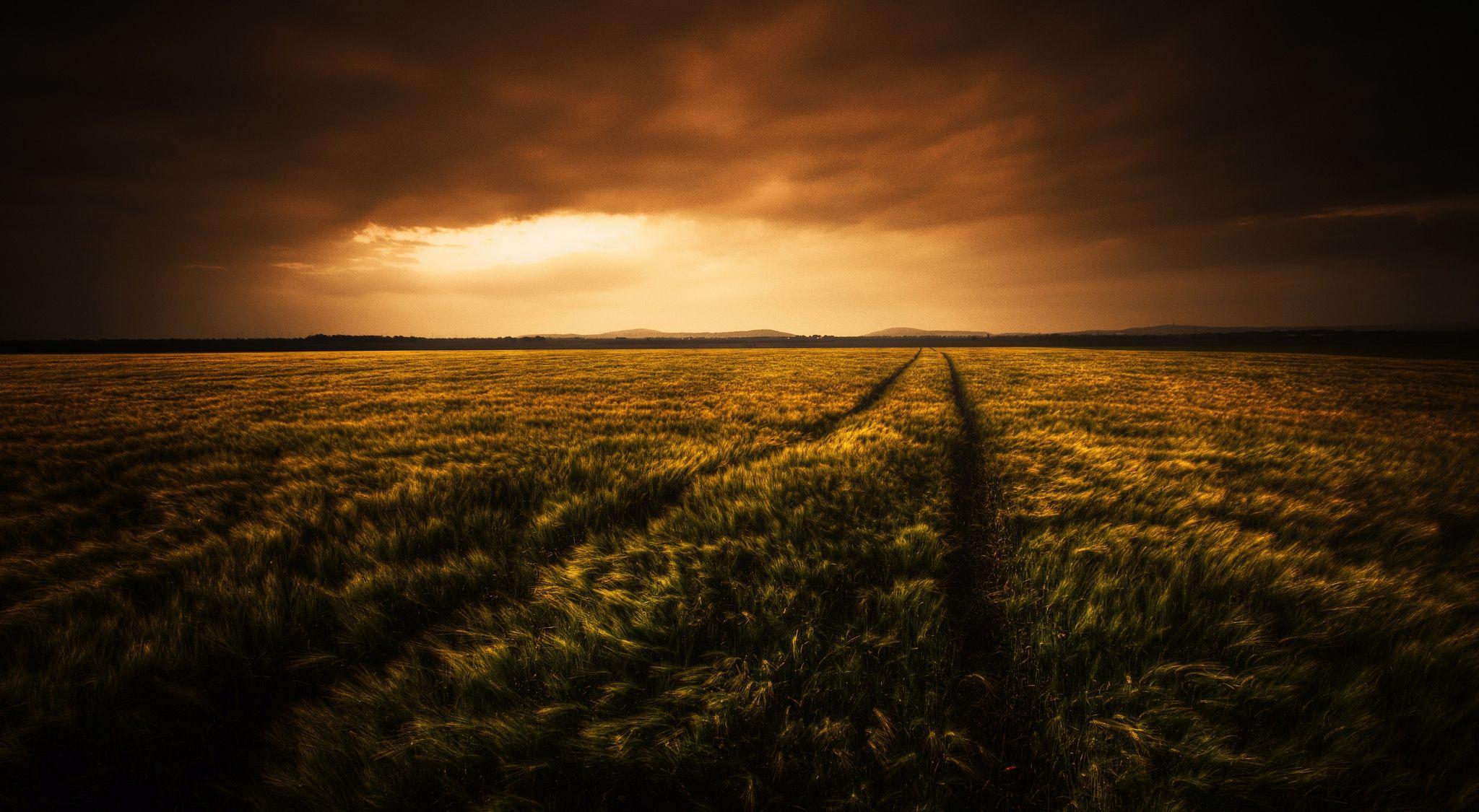 Download 2048x1125 Field, Sunset, Scenic, Clouds, Sky Wallpaper