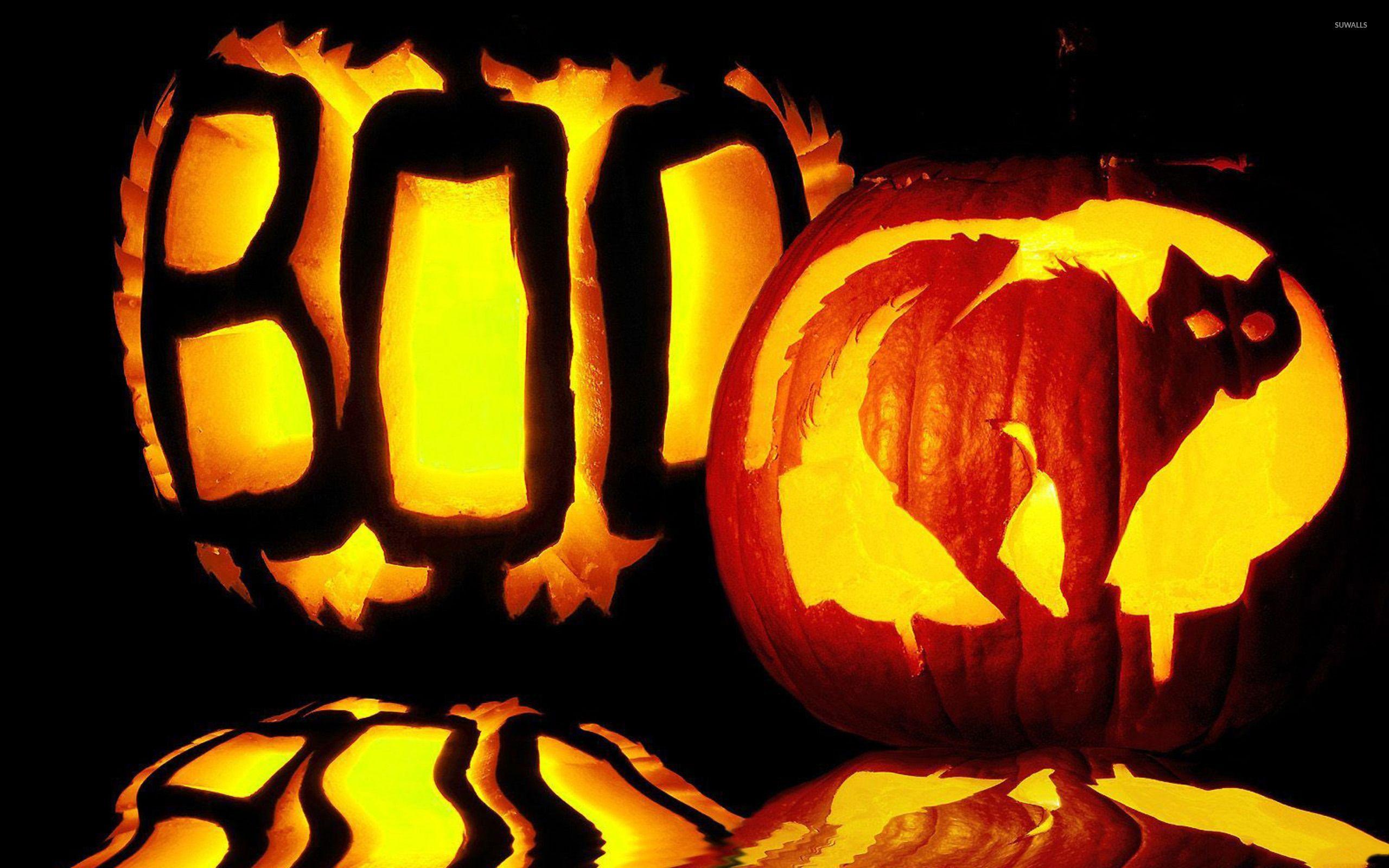 Cat And Boo Jack O' Lanterns Wallpaper Wallpaper