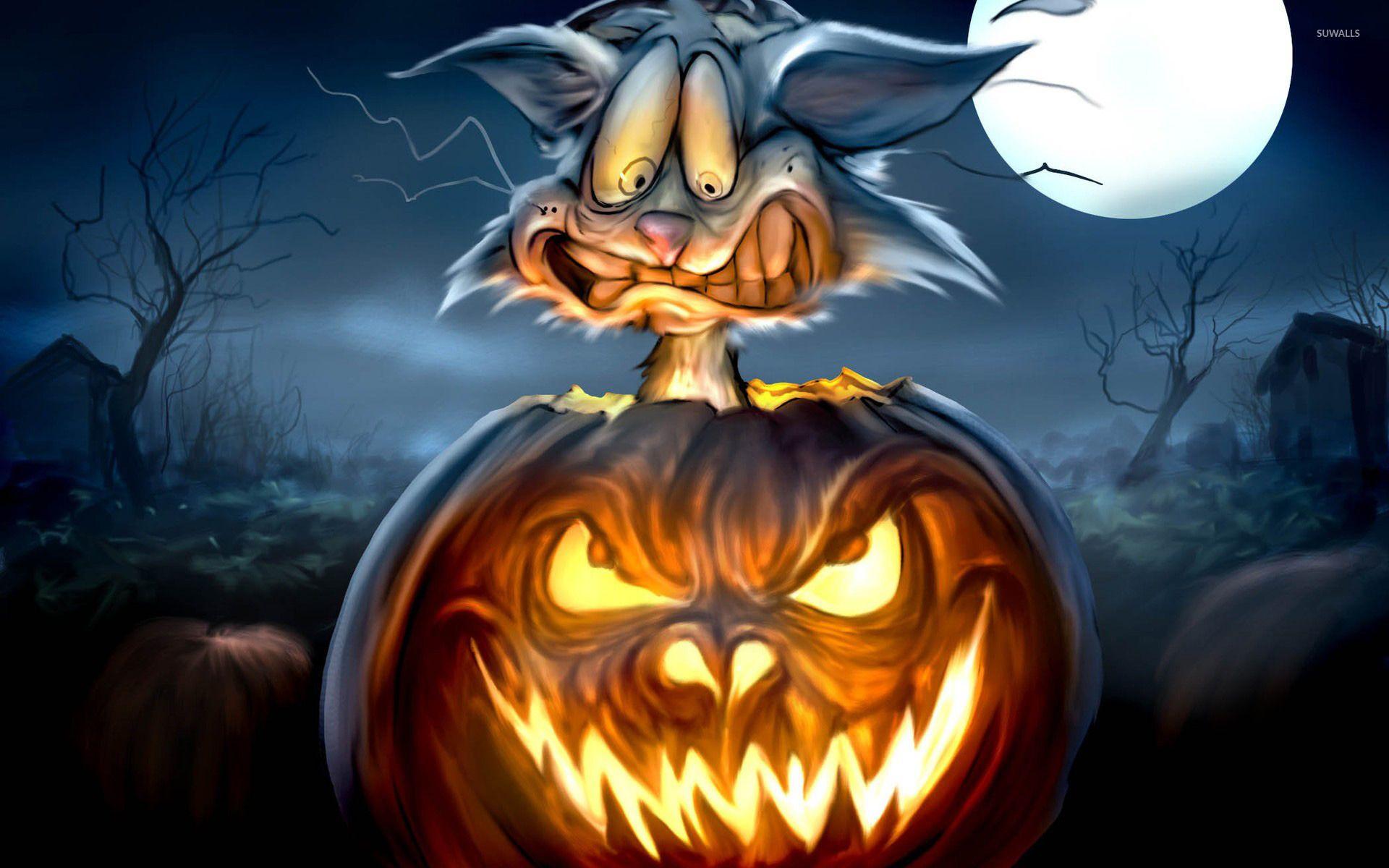 Scared Cat In A Jack O' Lantern Wallpaper Wallpaper