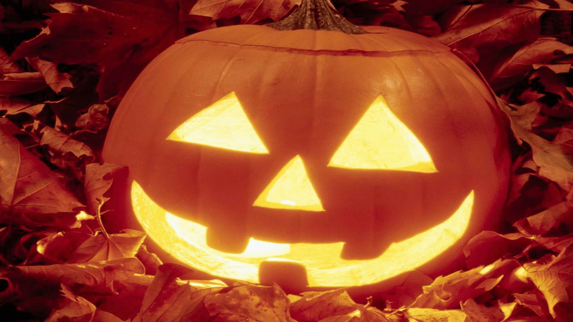 Jack O Lantern Wallpaper