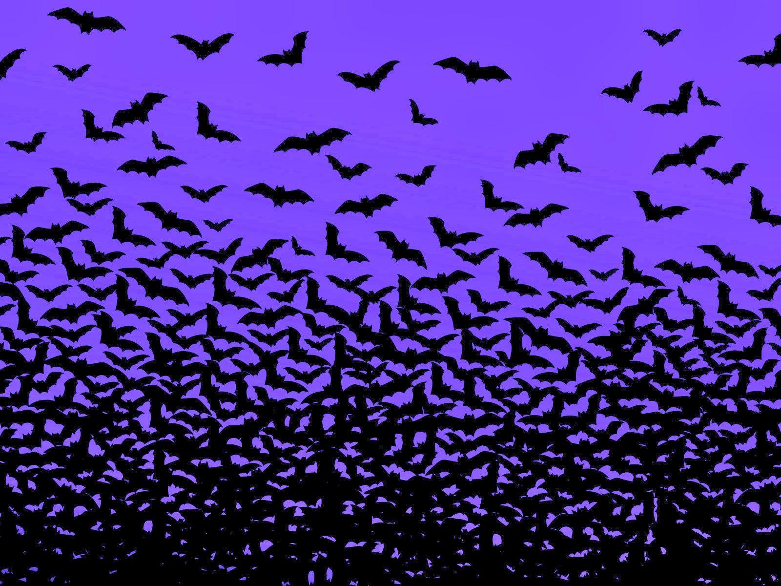  Bat Halloween Wallpaper Background HD  CBEditz
