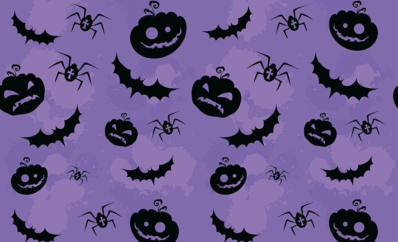Image Bats Spiders Texture Pumpkin Halloween Holidays Vector