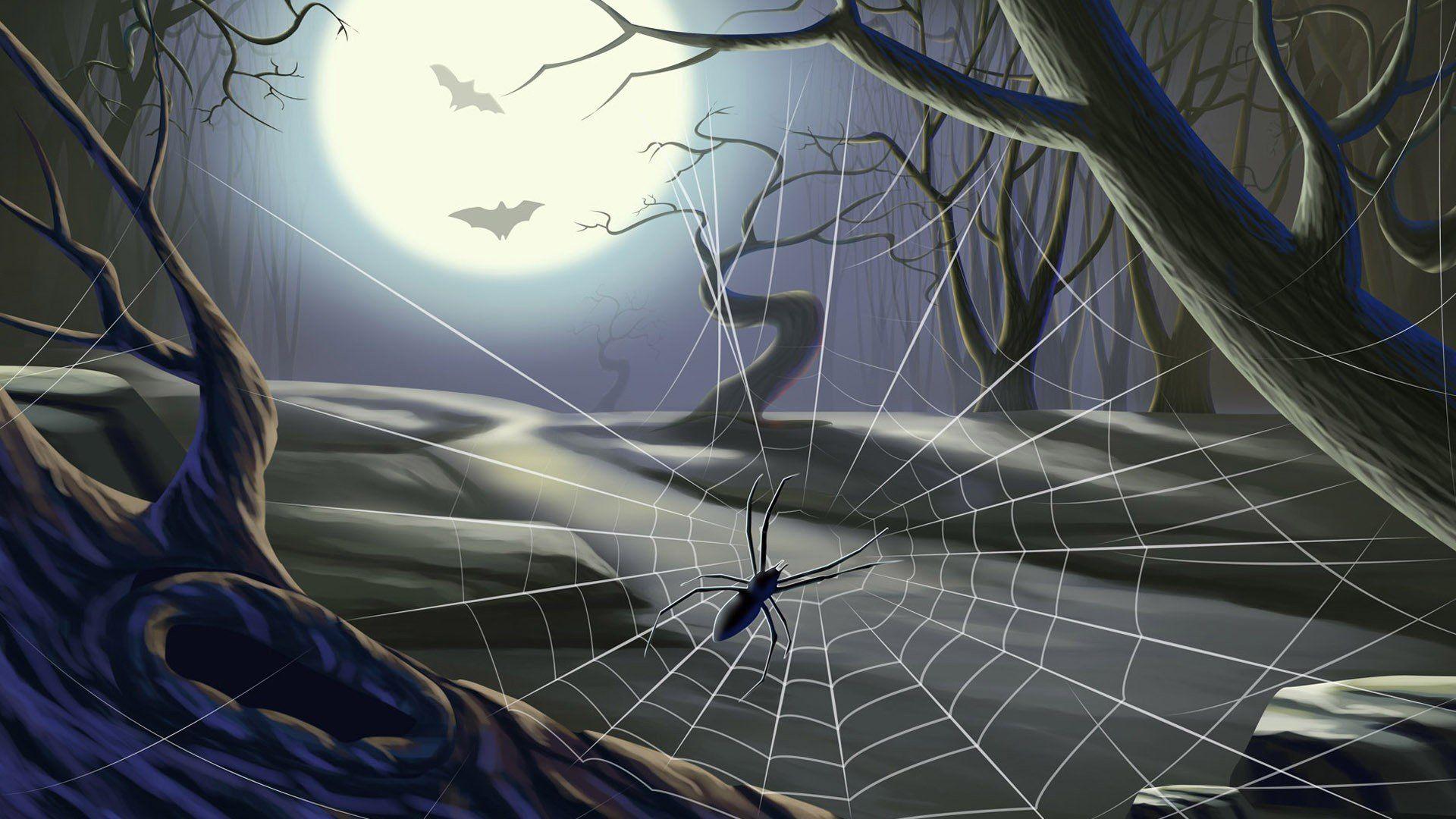 Spider Web On Halloween