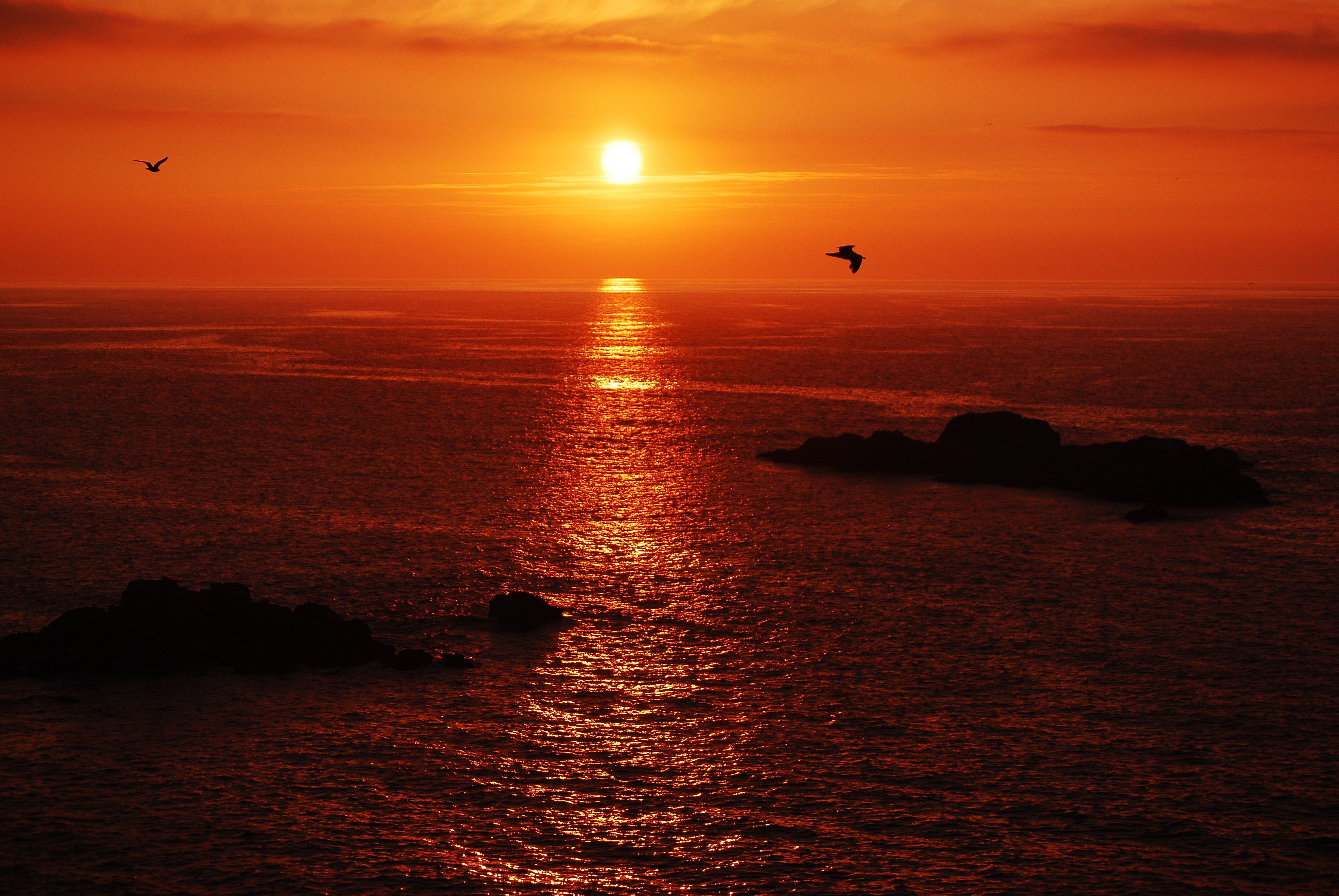 Sunset birds sky red sea islands calm beauty emotions clouds