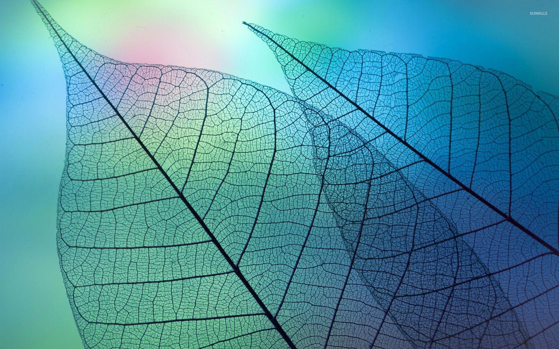 Leaves under the microscope wallpaper Art wallpaper