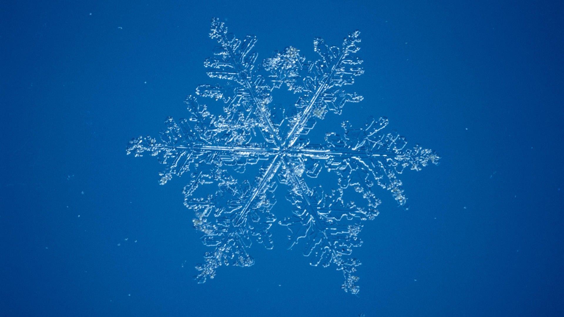 Snow snowflakes microscope wallpaperx1080