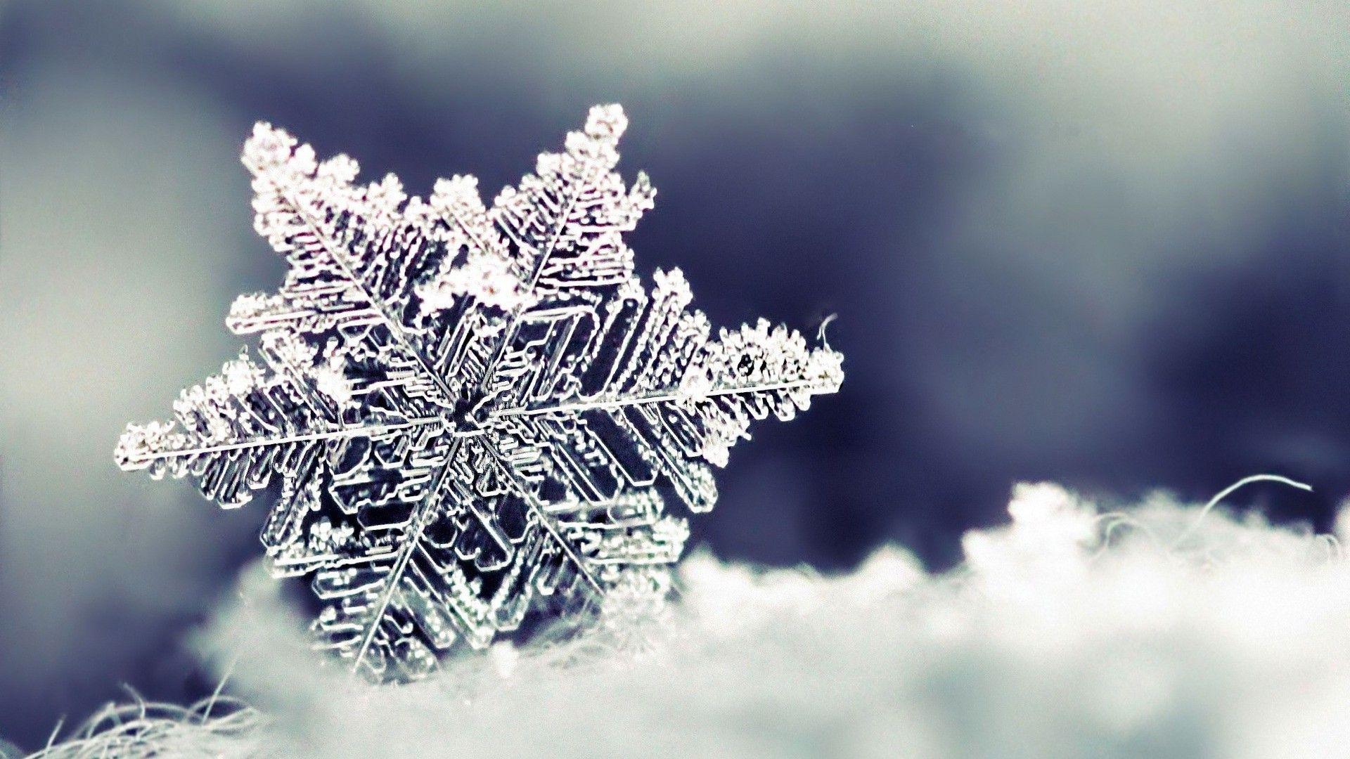 Real Snowflake Under Microscope