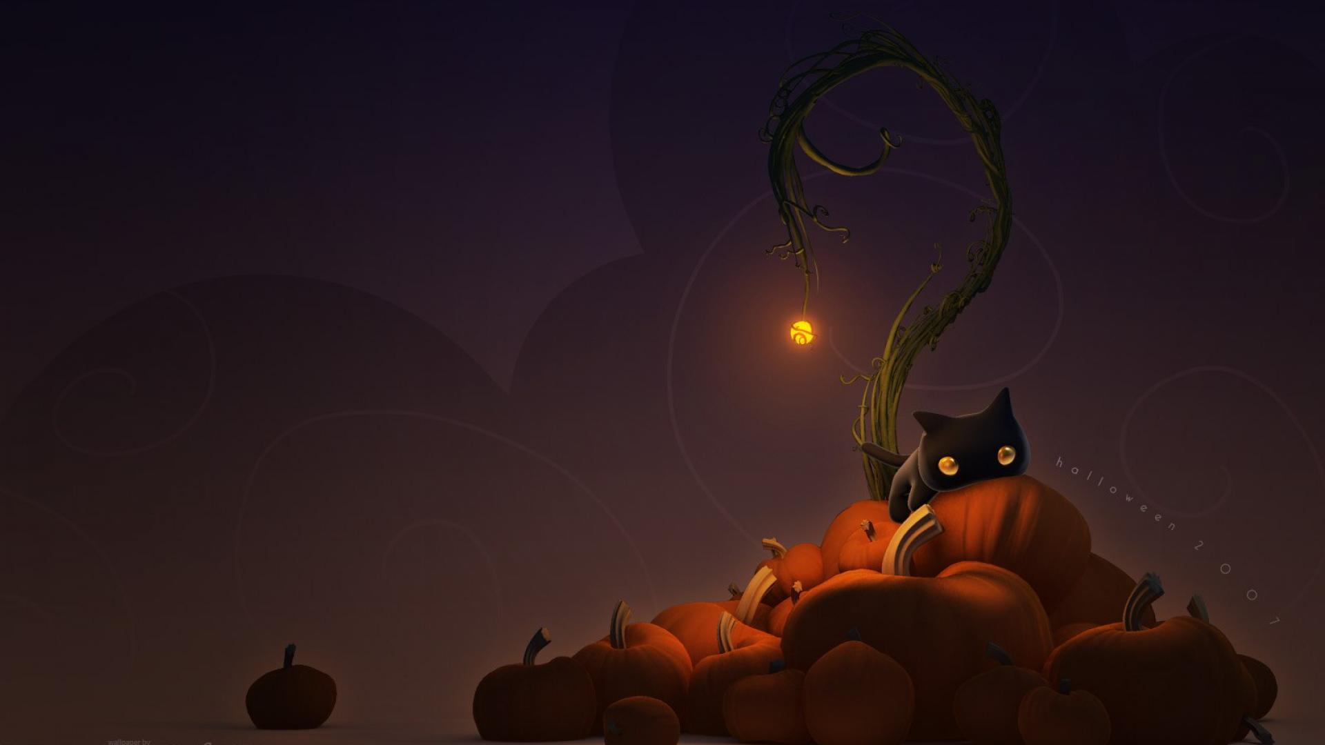 Black Cat Pumpkin Halloween Wallpaper Wallpaper Themes