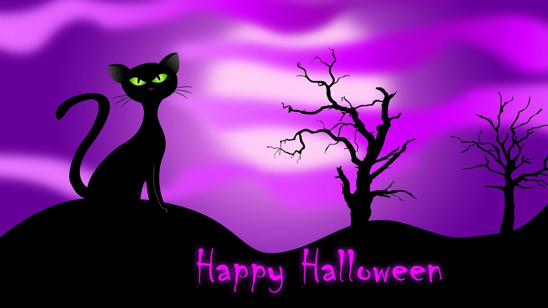 Happy Halloween Wallpaper Black Cat and Witch Vector Stock Vector   Illustration of animal poison 156927337