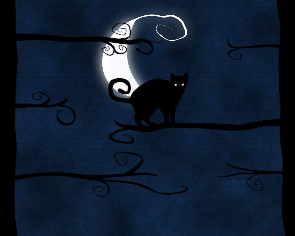 Halloween cat halloween favorites spooky black bat pumkin HD phone  wallpaper  Peakpx