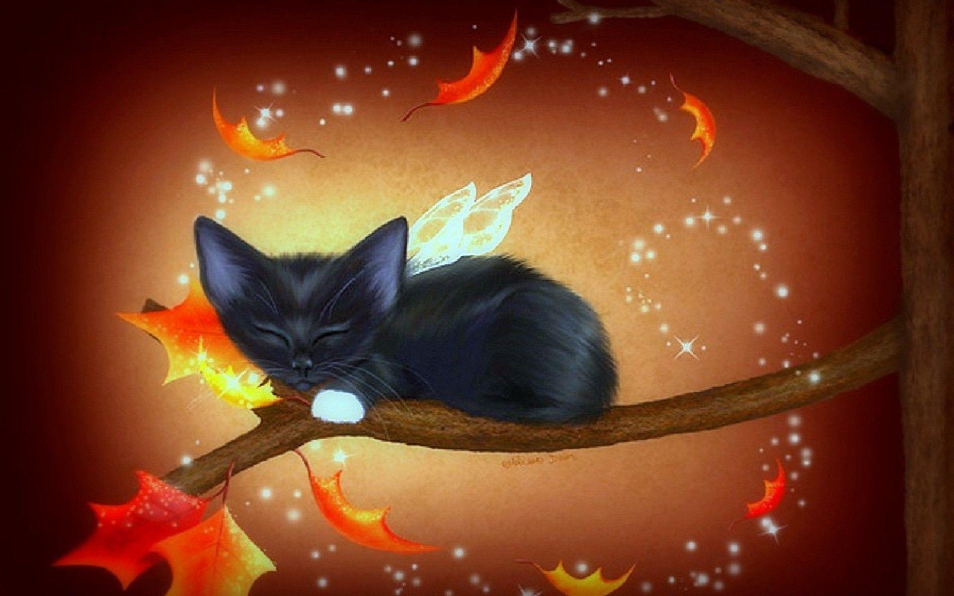 Halloween Black Cat Moonlight Beautiful Background Wallpaper Image For Free  Download  Pngtree