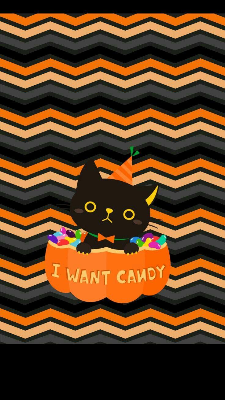 iPhone Halloween Wallpaper cute black cat. Halloween Wallpaper