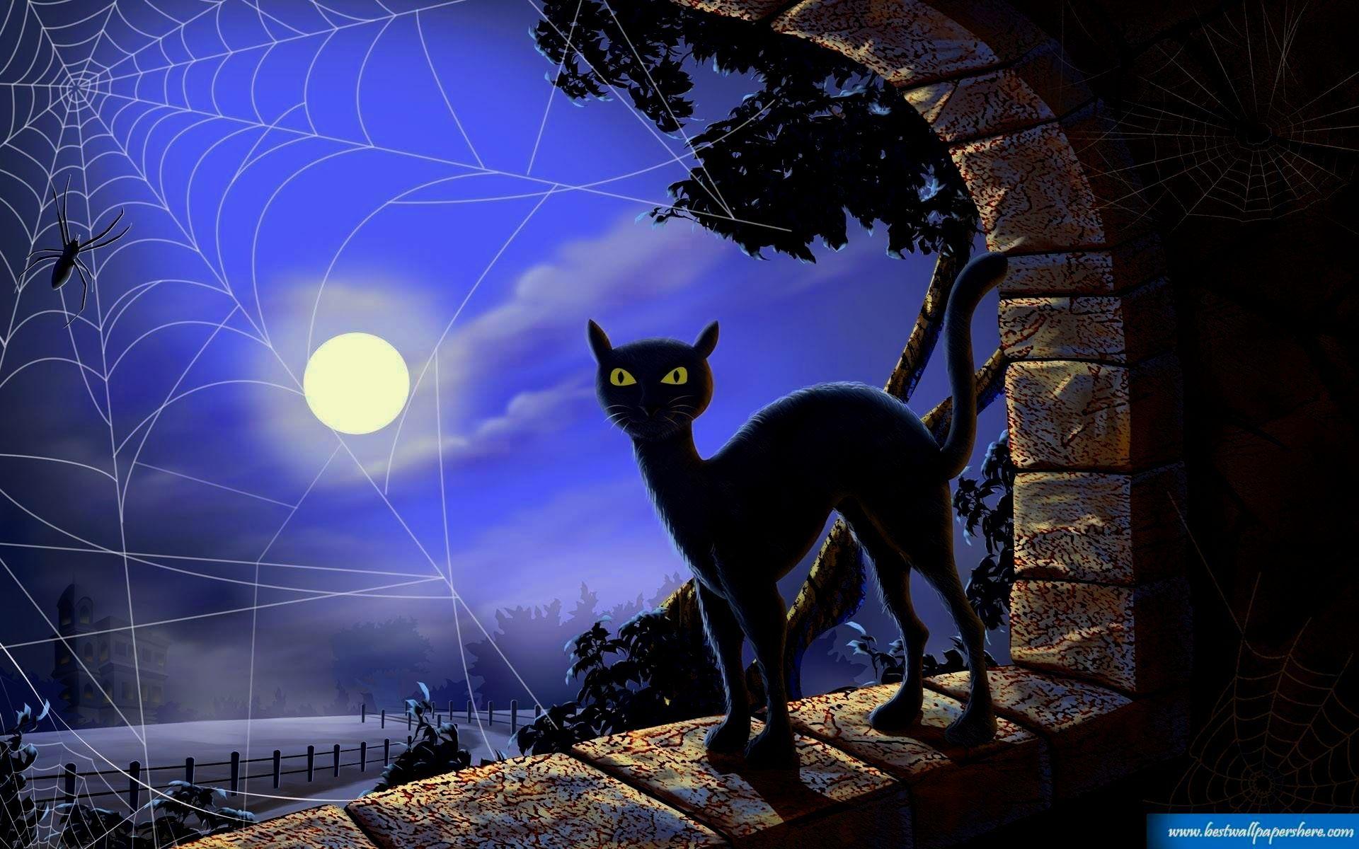 Black Cat Halloween Wallpaper. tianyihengfeng. Free Download High