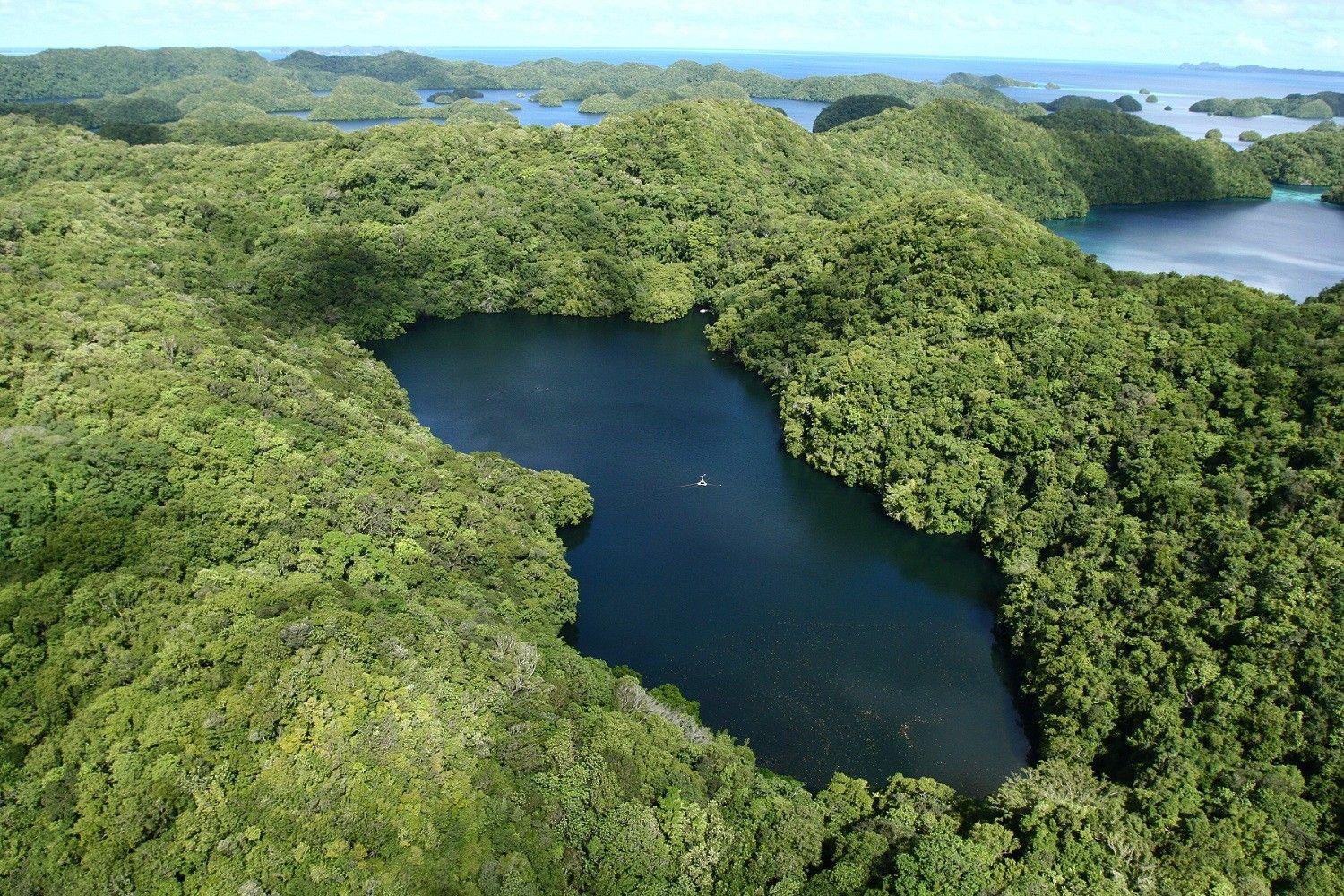 Palau Tag wallpaper: Rock Islands Palau Beautiful Blue Lagoons