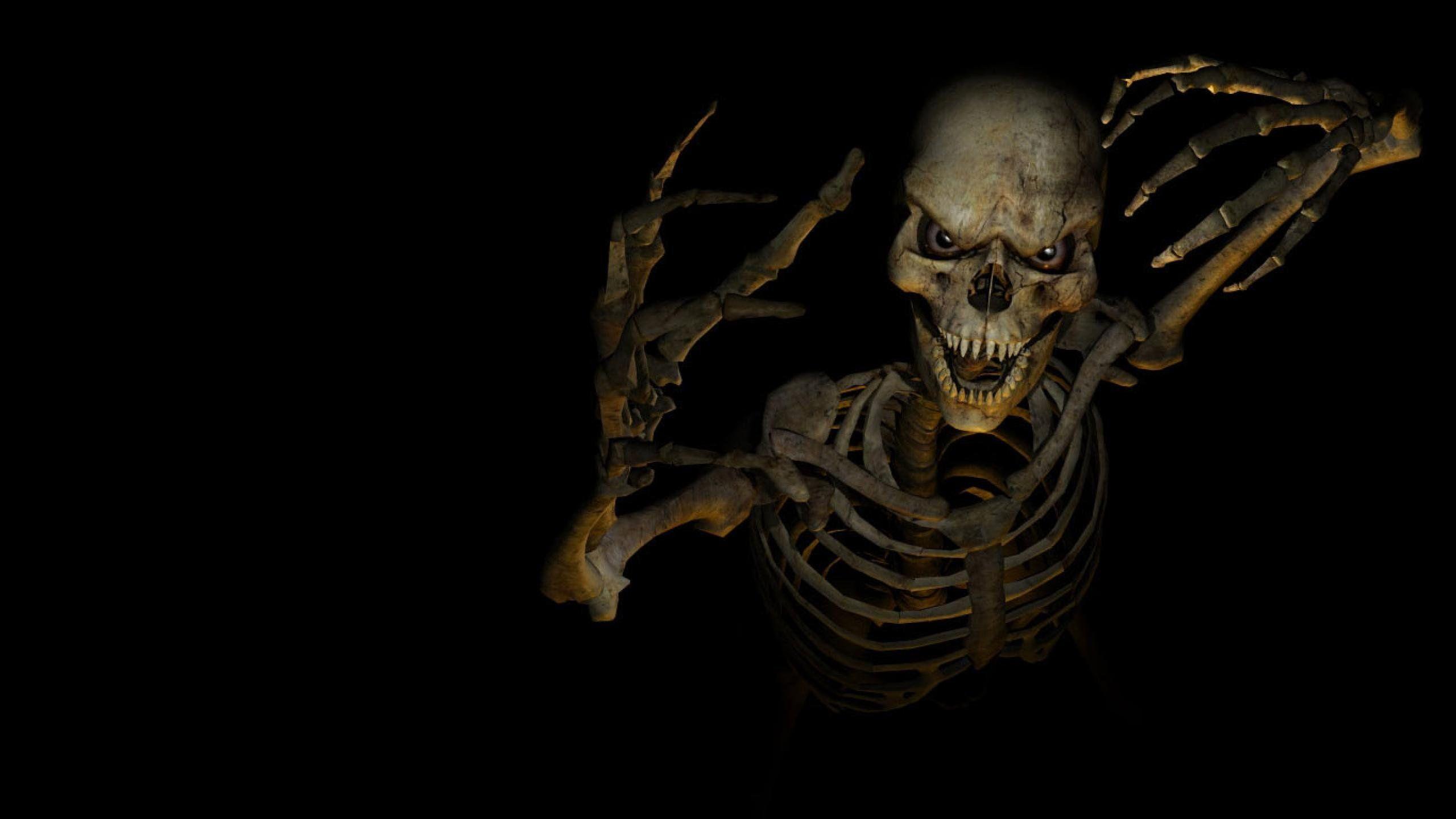 Halloween Skeleton Skull Wallpapers At Dark Wallpapers