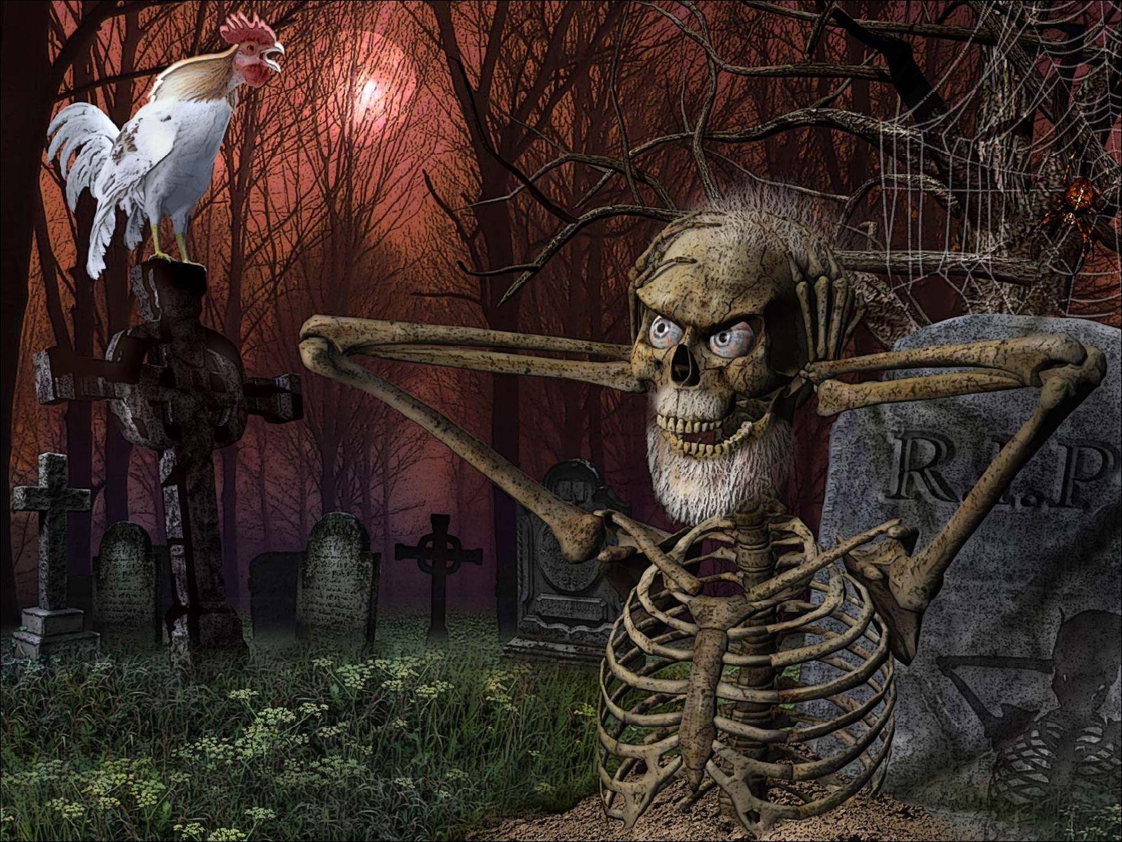 Skull Skulls Dark Humor Funny Halloween Cemetery Grave Skeleton