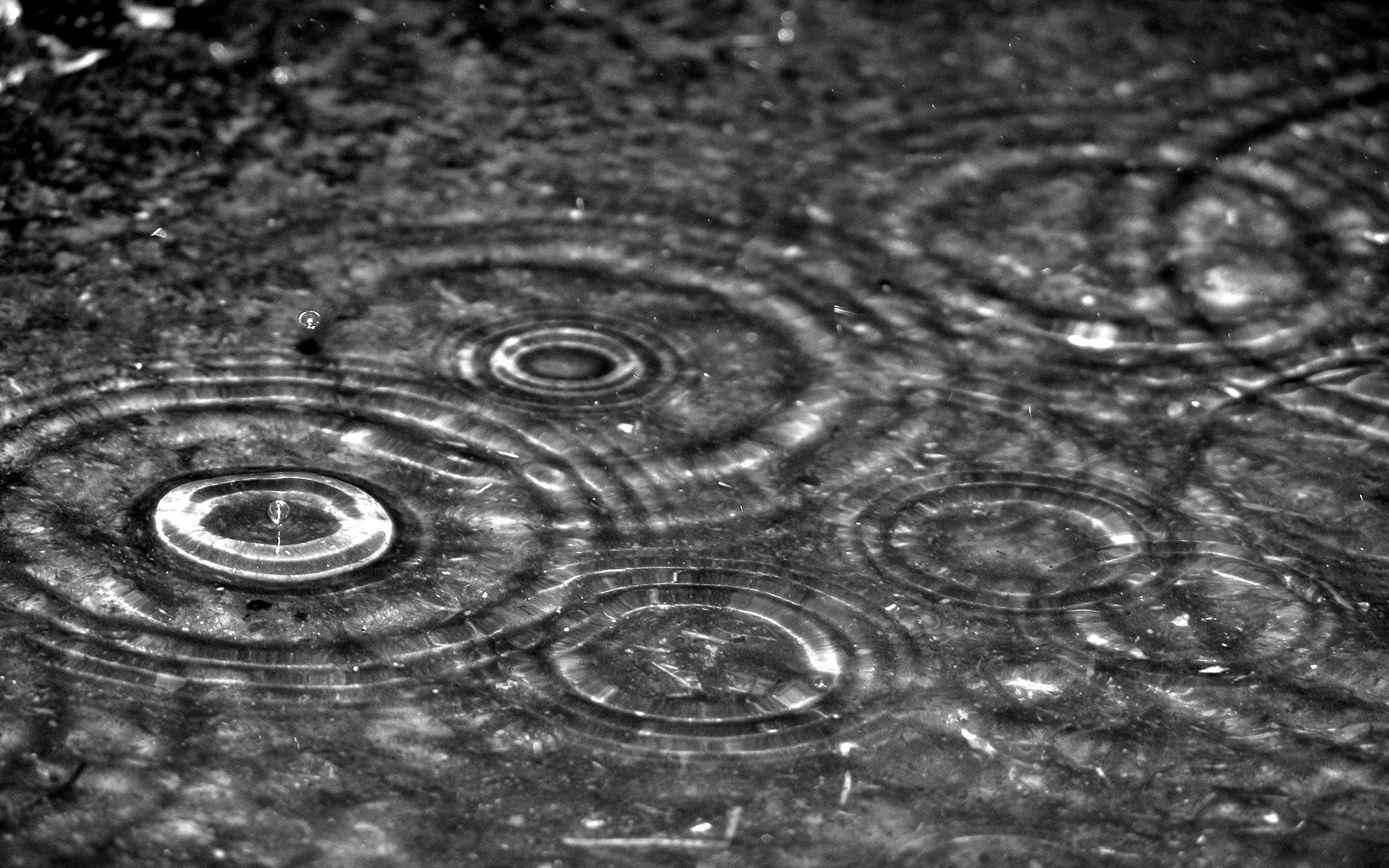rain drops wallpaper HD Desktop Wallpaperk HD