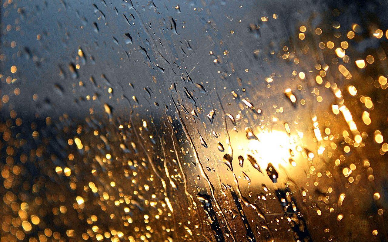 Rain Drops Wallpaper HD