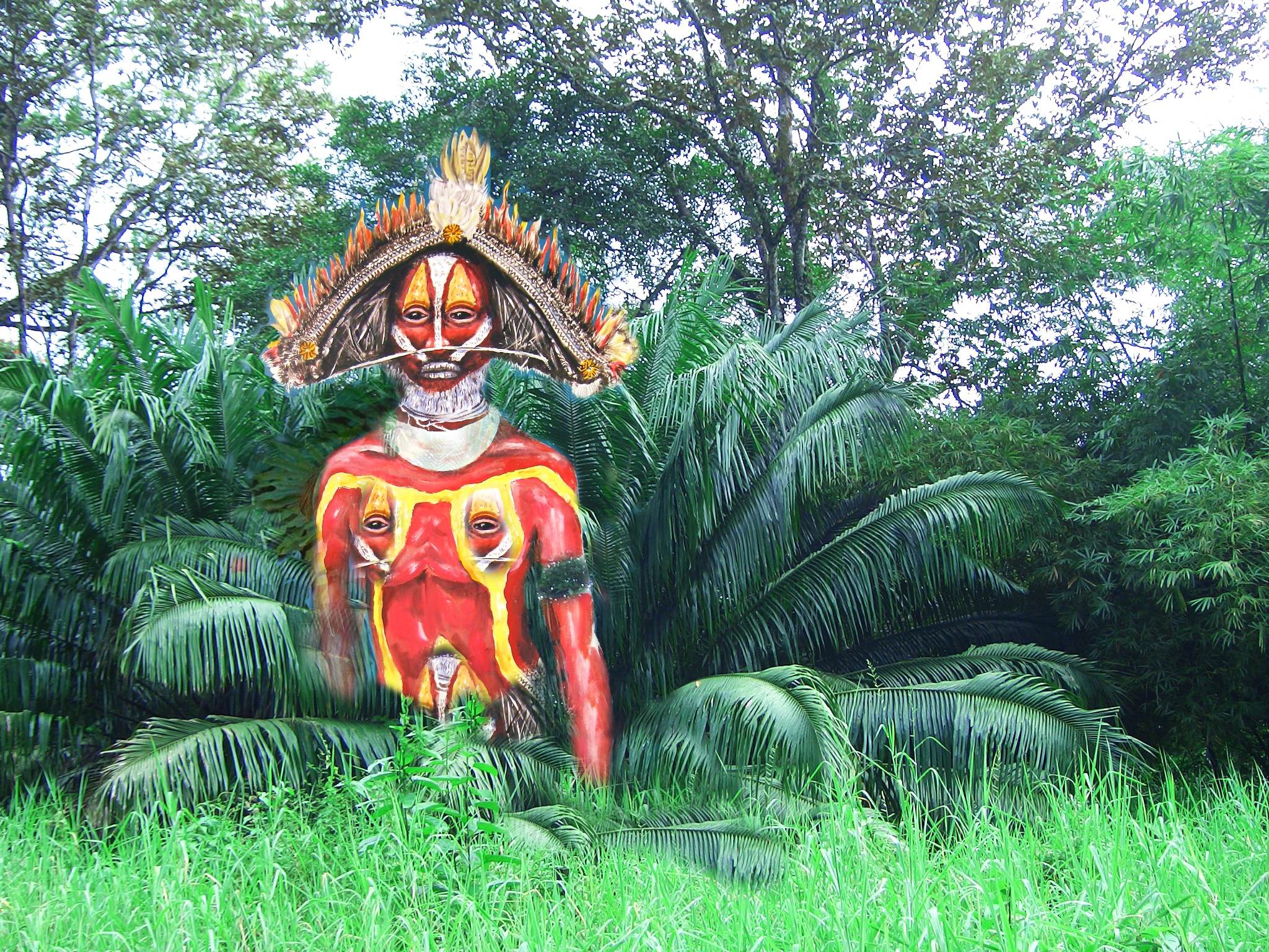 Warrior From Papua New Guinea Image
