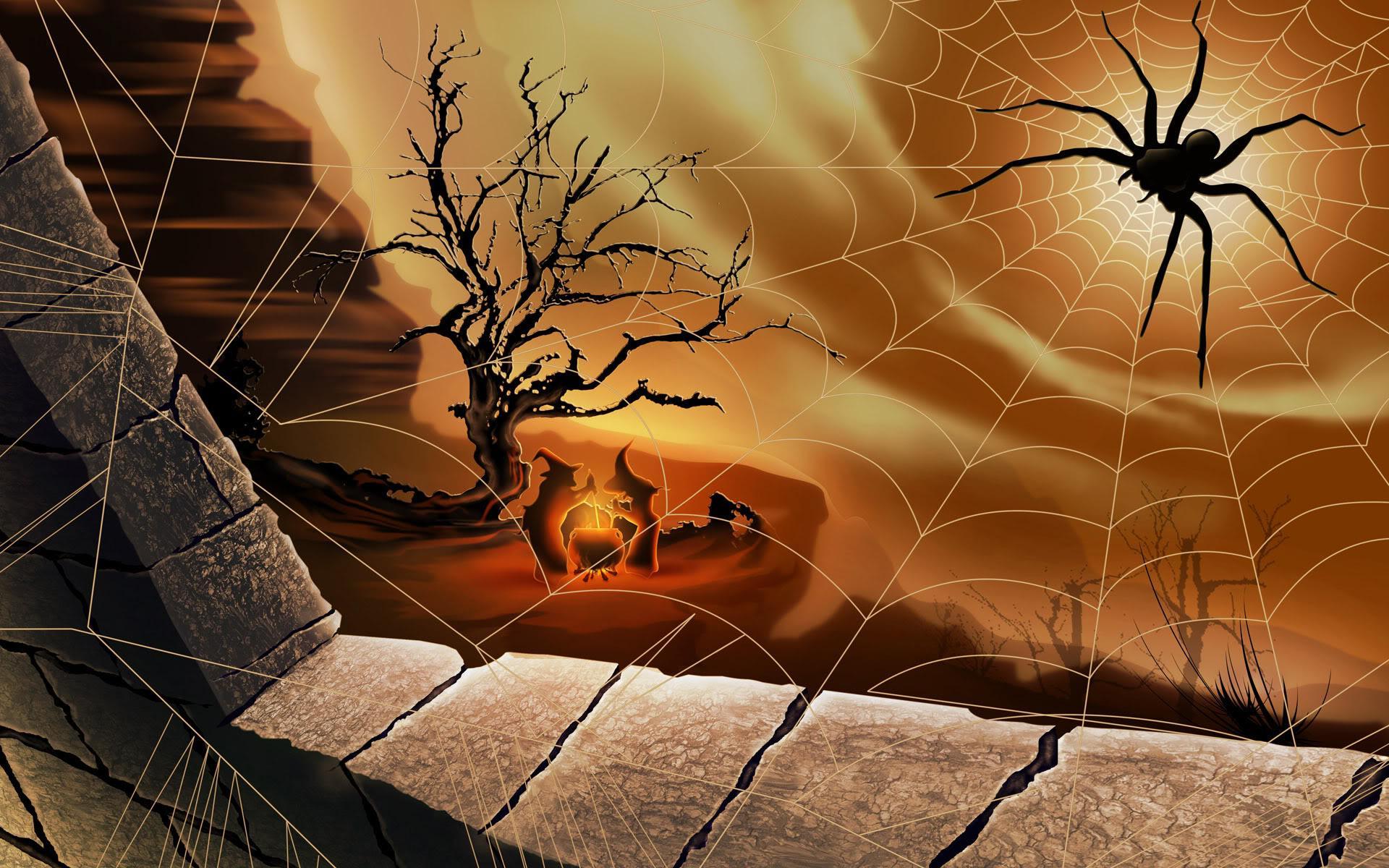 Halloween Spider HD wallpaper download