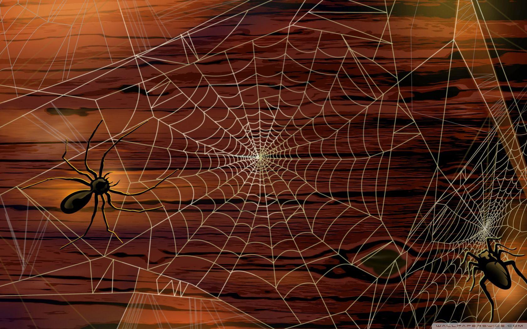 Spider Webs Hallowmas Halloween HD desktop wallpaper, Widescreen