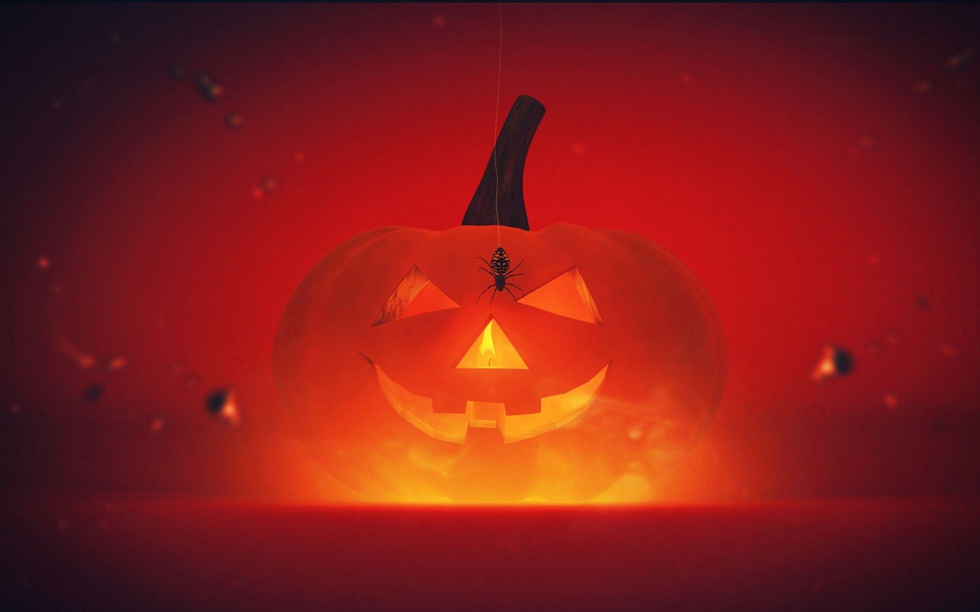 Wallpaper Halloween Pumpkin, Spider, HD, Celebrations / Halloween