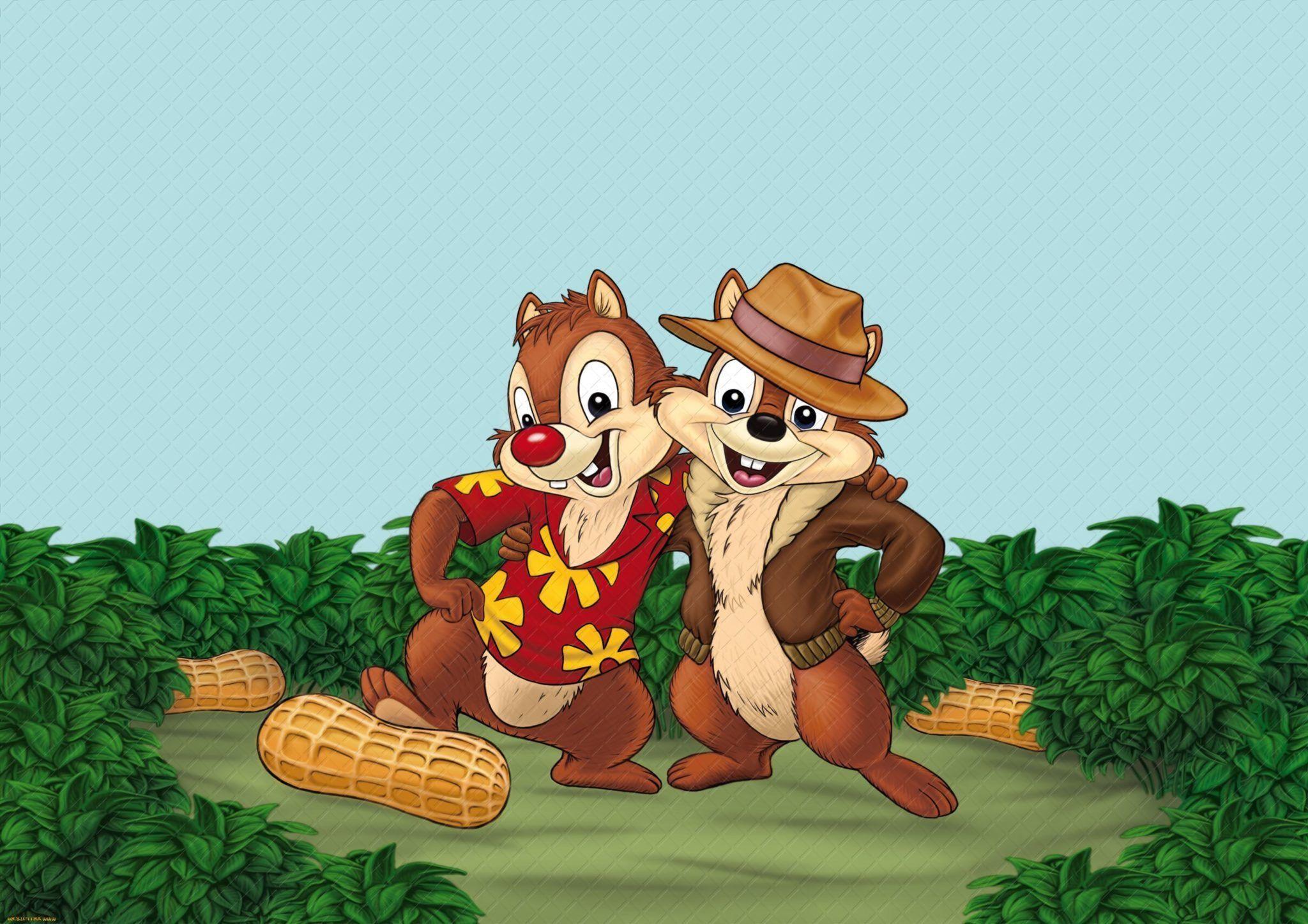 chip and dale - photo #4