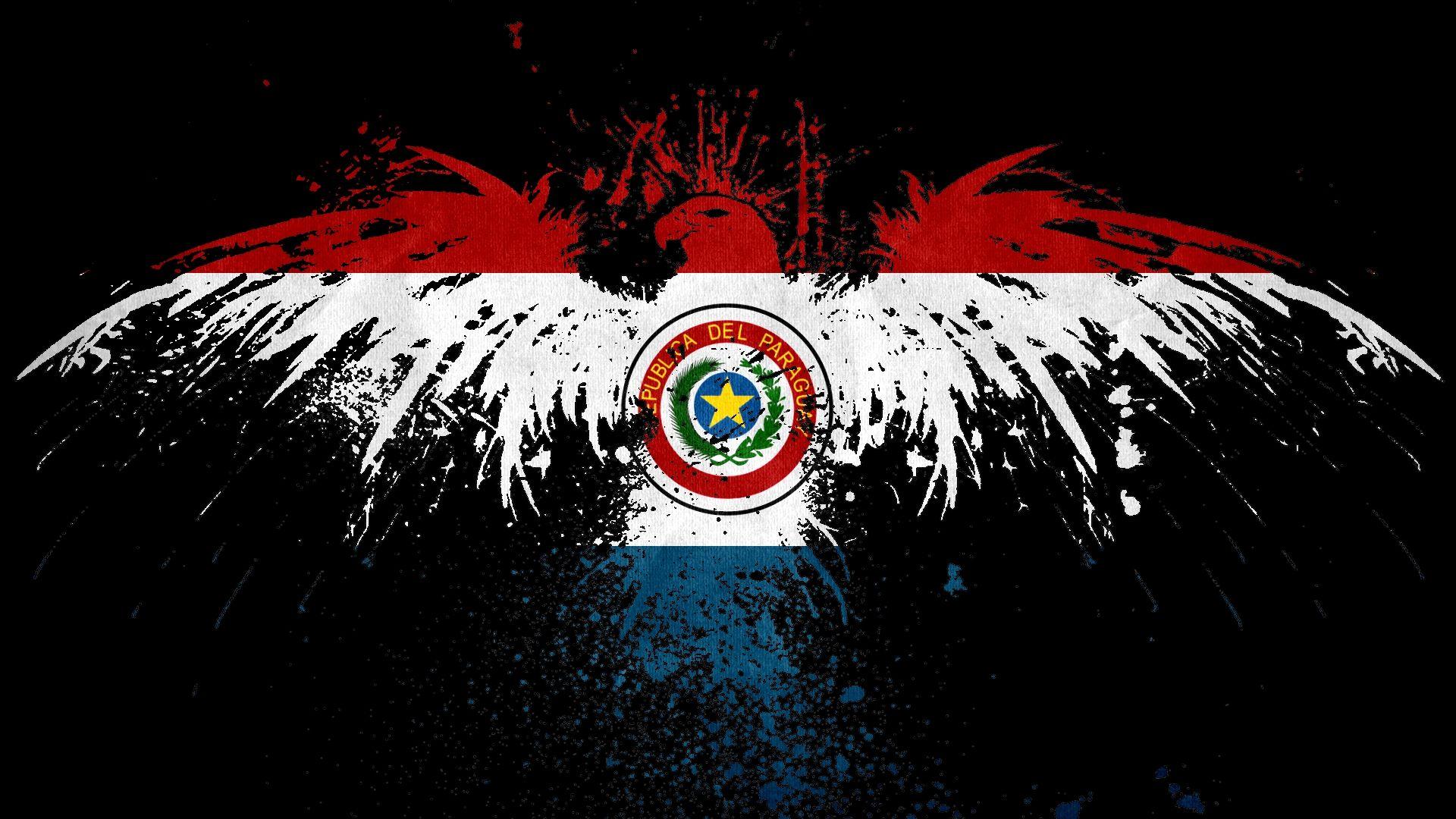 Paraguay National Football Team Google Meet Background