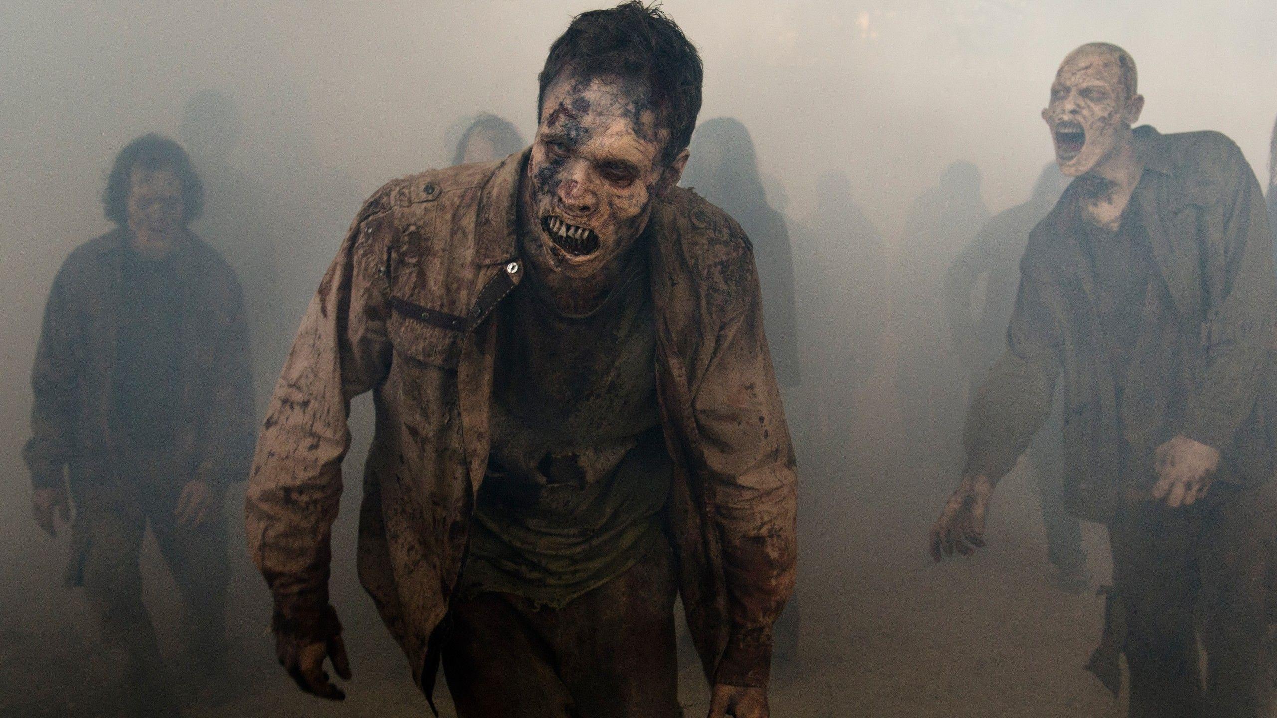 Wallpapers The Walking Dead, Season 8, 4K, TV Series / Most Popular