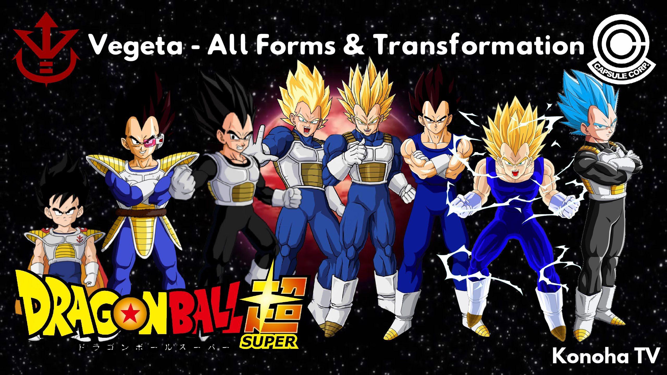 Vegeta Forms and Transformations Dragon Ball Z