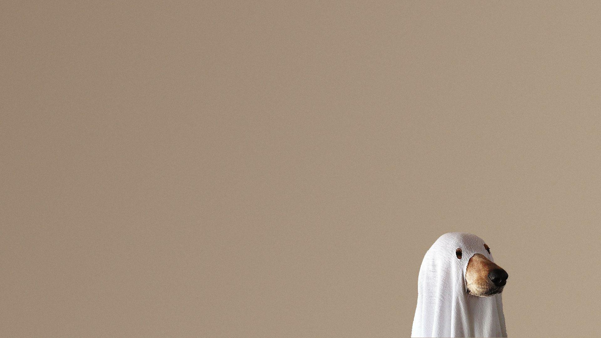 Halloween Costumes Wallpapers - Wallpaper Cave