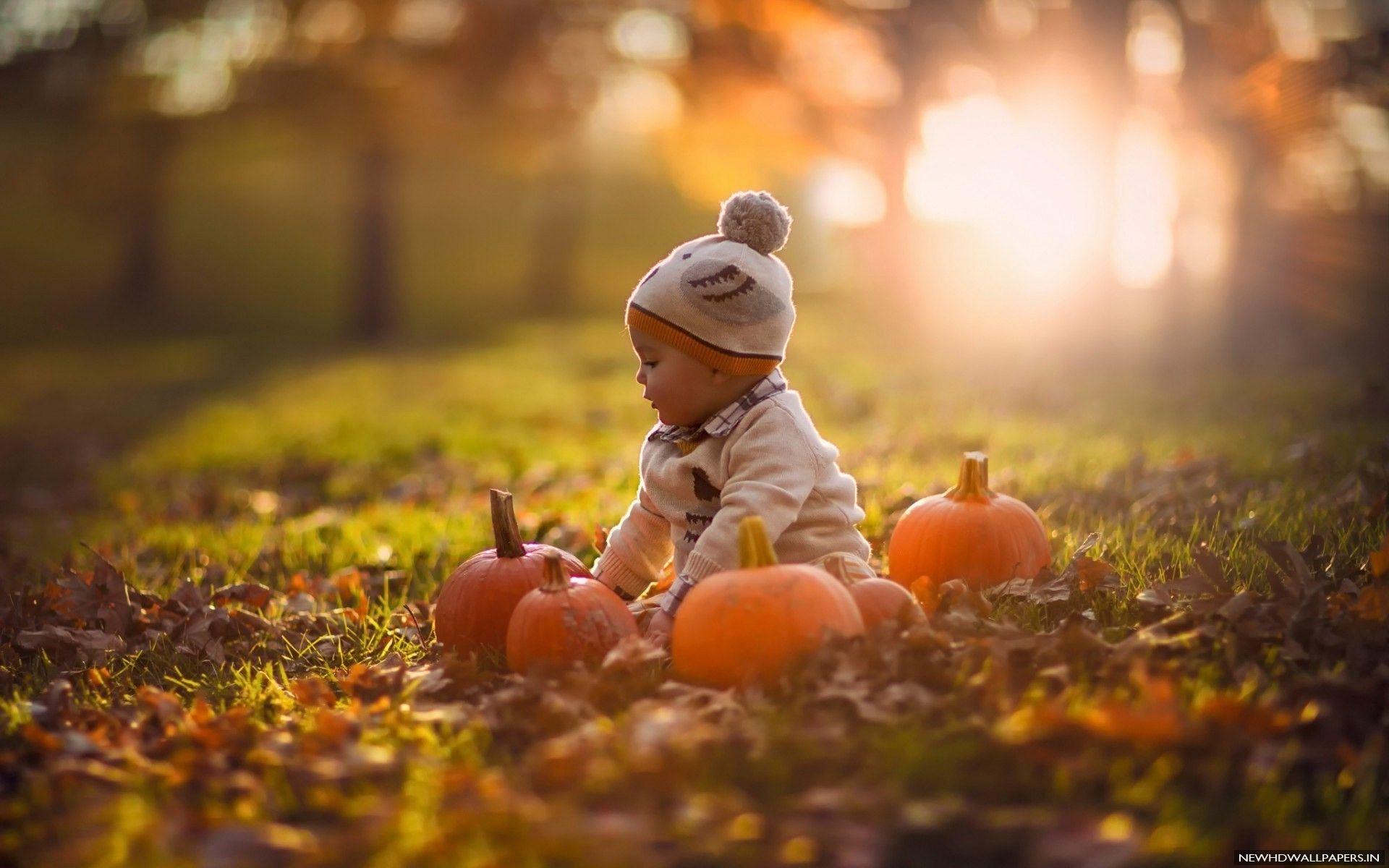 Cute Baby Playing Pumpkins HD Wallpaper HD Wallpaper
