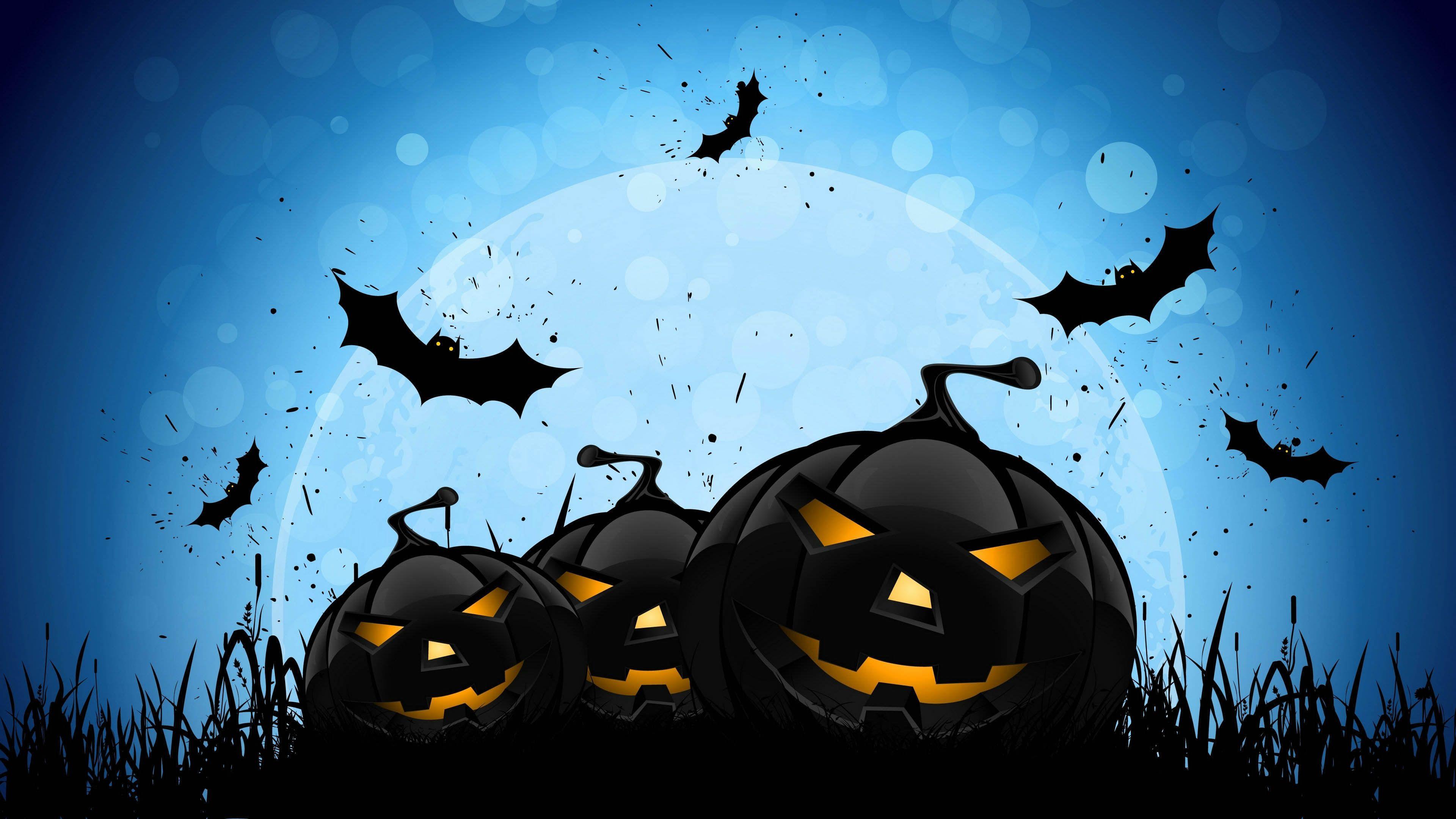 Halloween Pumpkins & Bats 16 9 Ultra HD, UHD