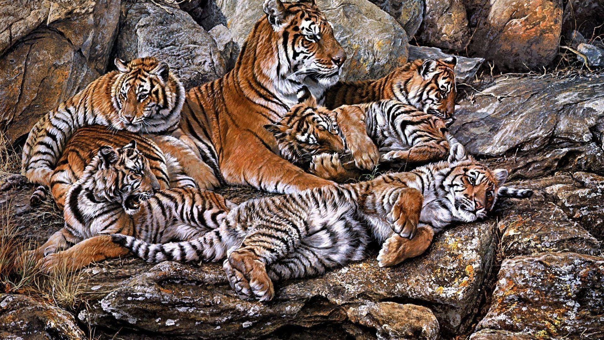 Cats: Cats Tiger Art Animals Cubs Predator Mother Babies Painting