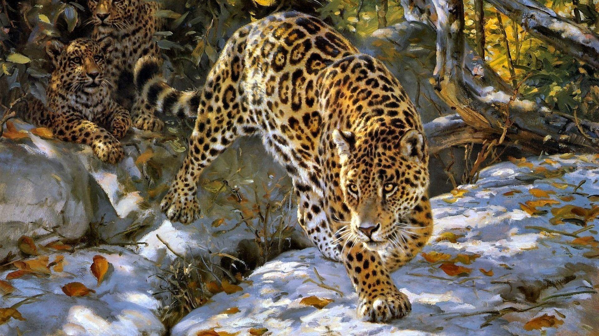 Art Tag wallpaper: Jaguar Donald Art Grant Autumn Wild Animals