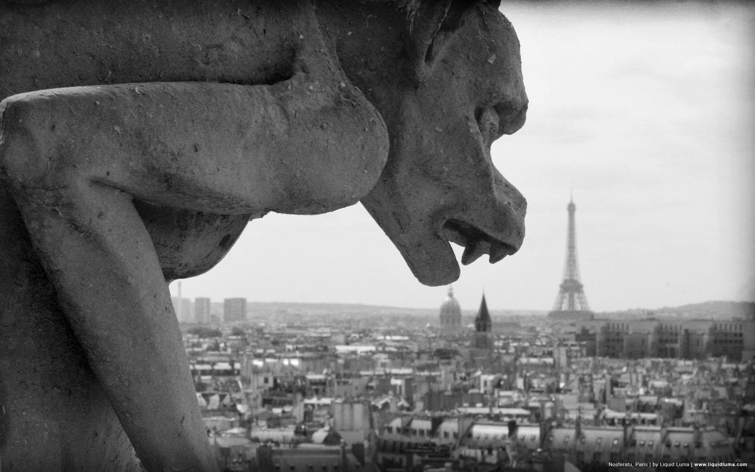 Paris grayscale gargoyle monochrome city skyline