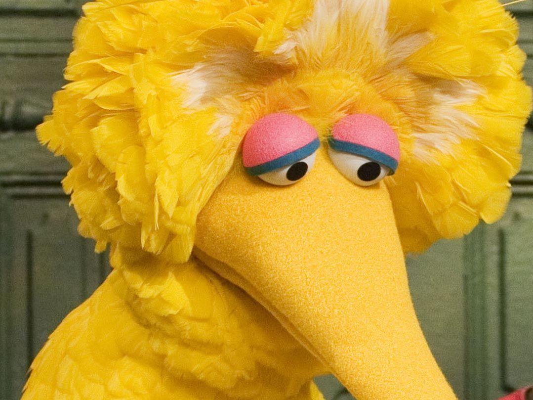 Big Bird shares the most meaningful moment of his career