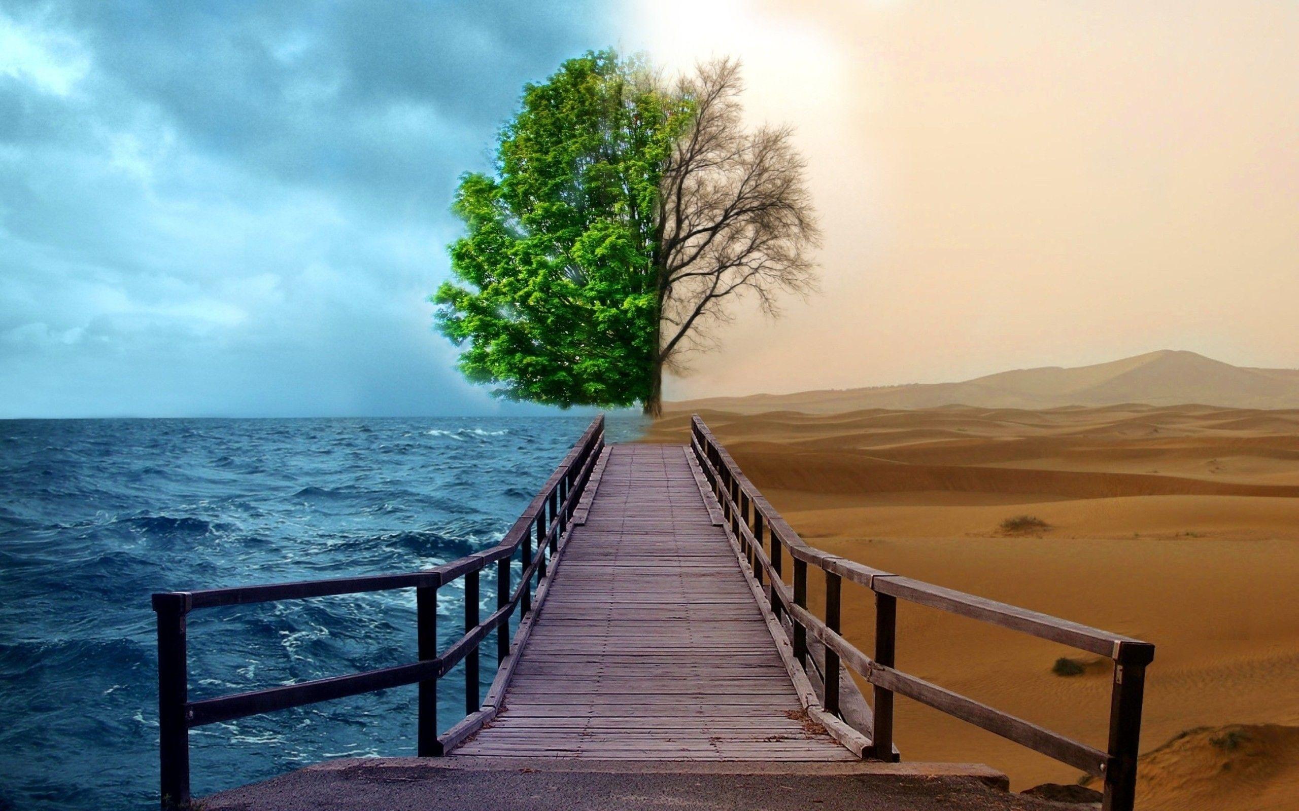 Ocean trees desert contrast