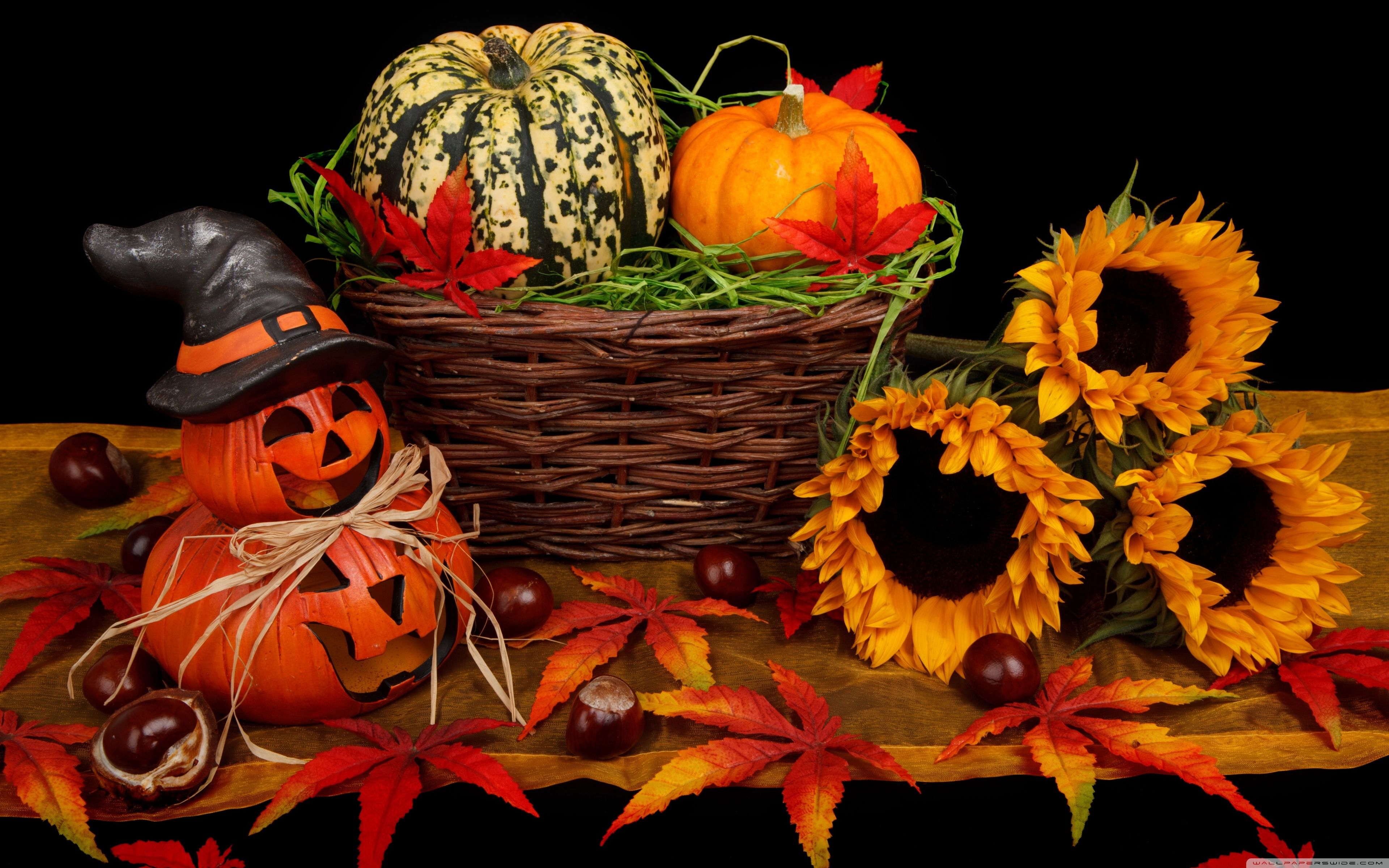 Halloween Decorations 2016 HD desktop wallpaper, Widescreen
